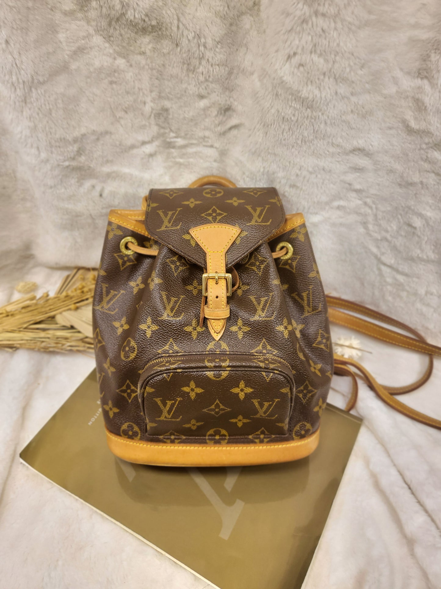 Authentic pre-owned Louis Vuitton Montsouris mini pm backpack