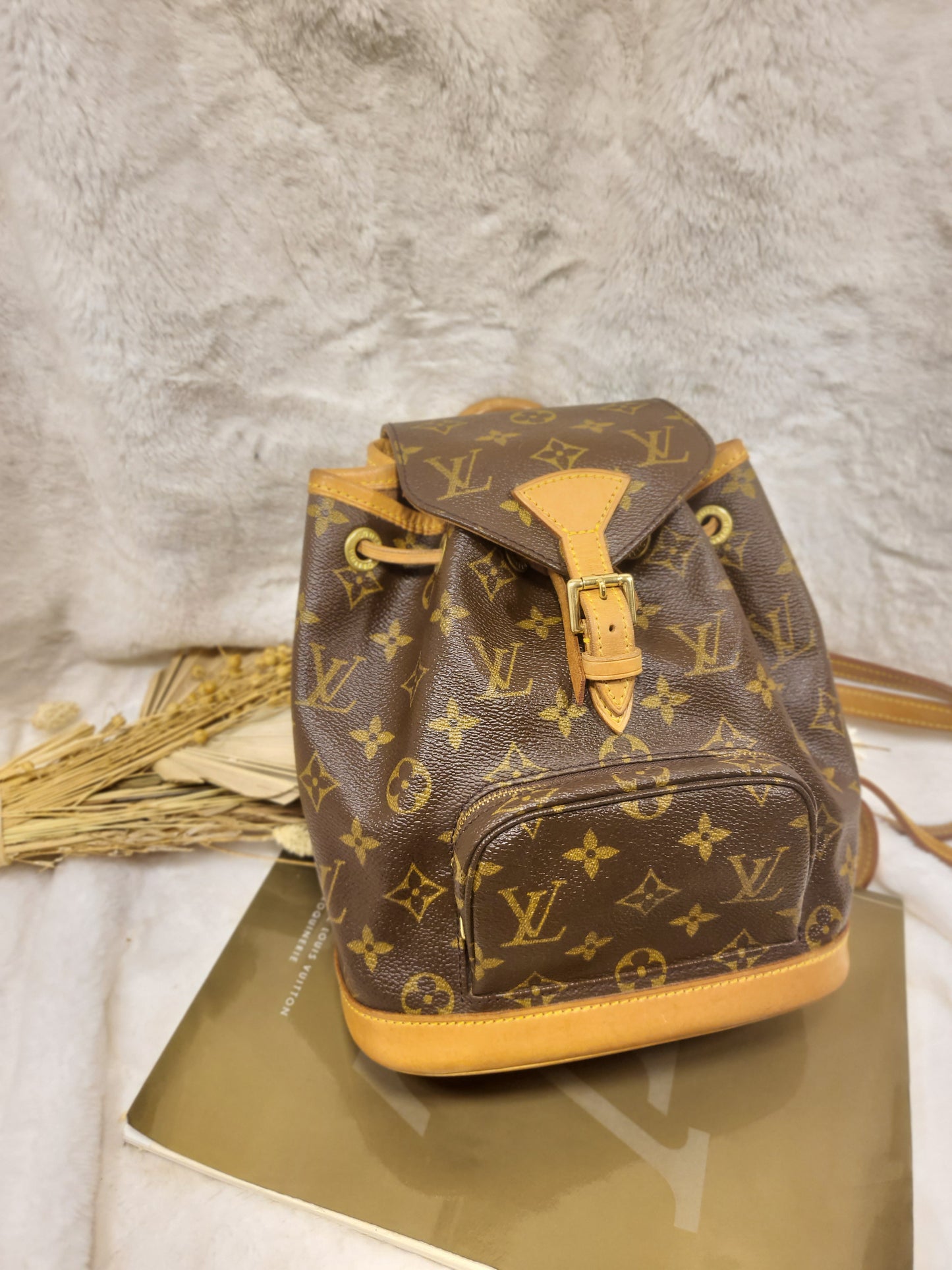 Authentic pre-owned Louis Vuitton Montsouris mini pm backpack