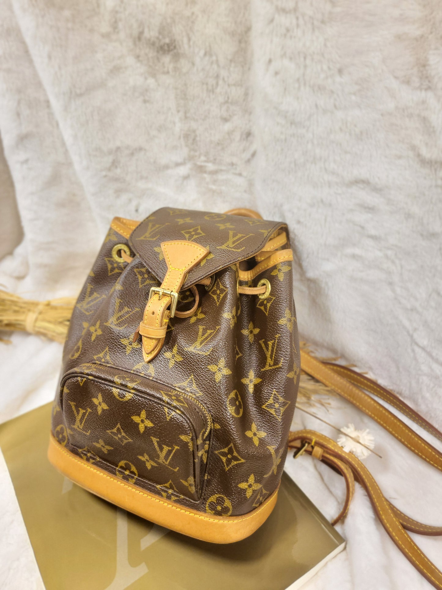 Authentic pre-owned Louis Vuitton Montsouris mini pm backpack