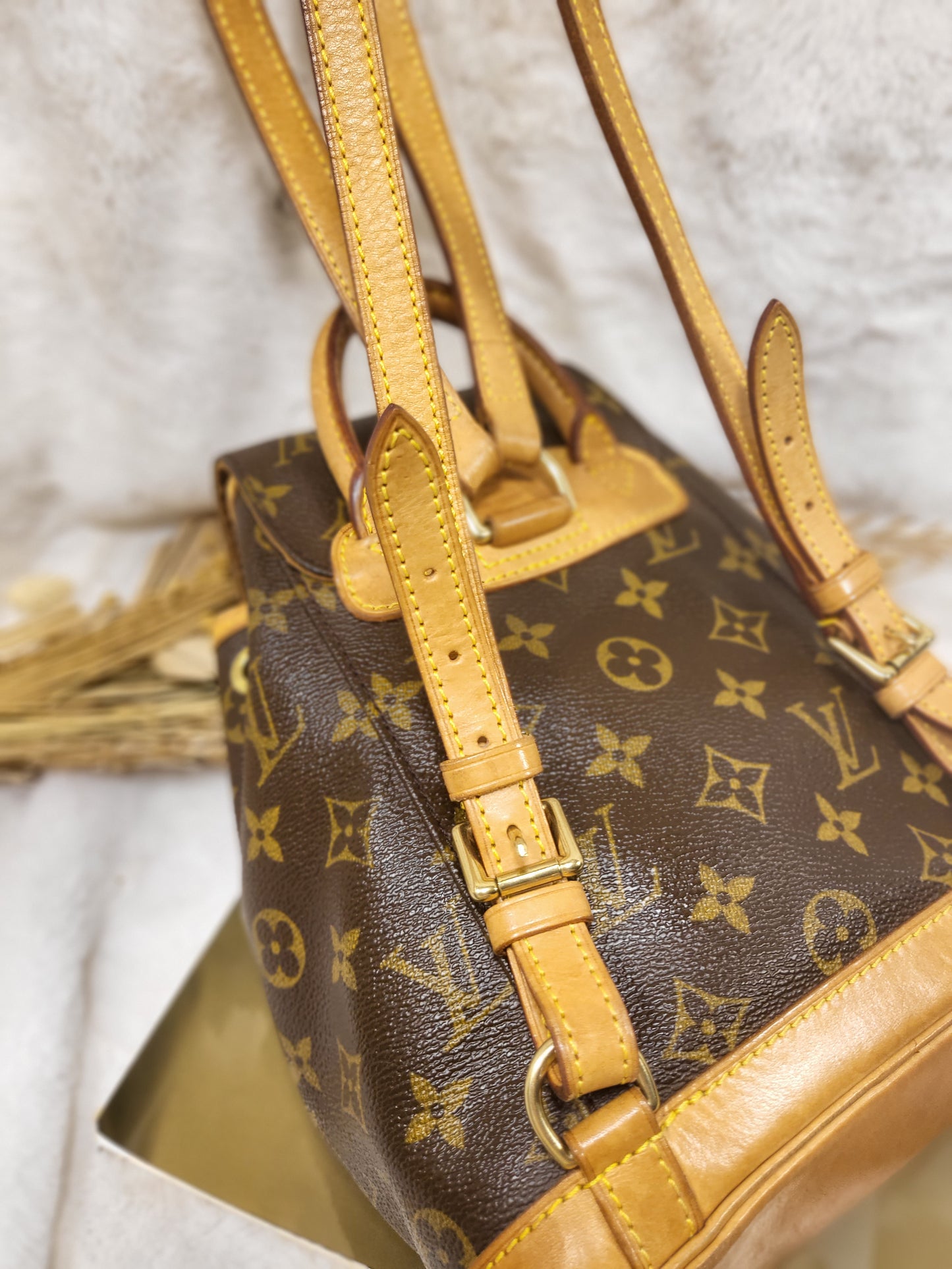 Authentic pre-owned Louis Vuitton Montsouris mini pm backpack