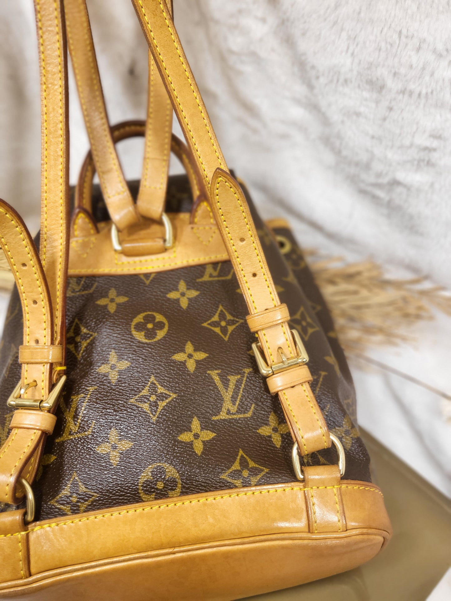 Authentic pre-owned Louis Vuitton Montsouris mini pm backpack