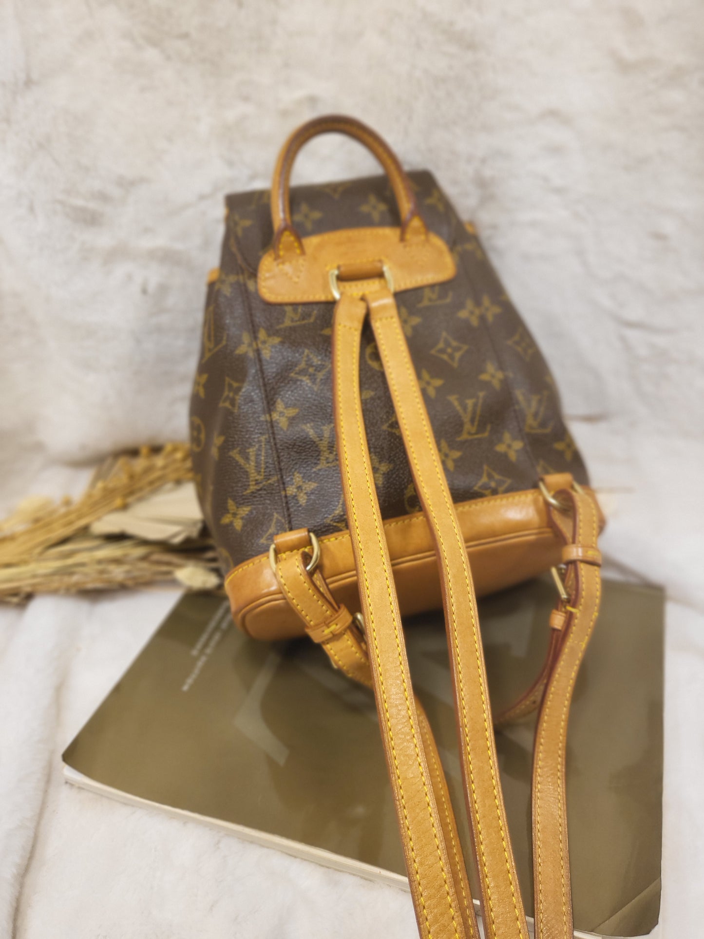Authentic pre-owned Louis Vuitton Montsouris mini pm backpack