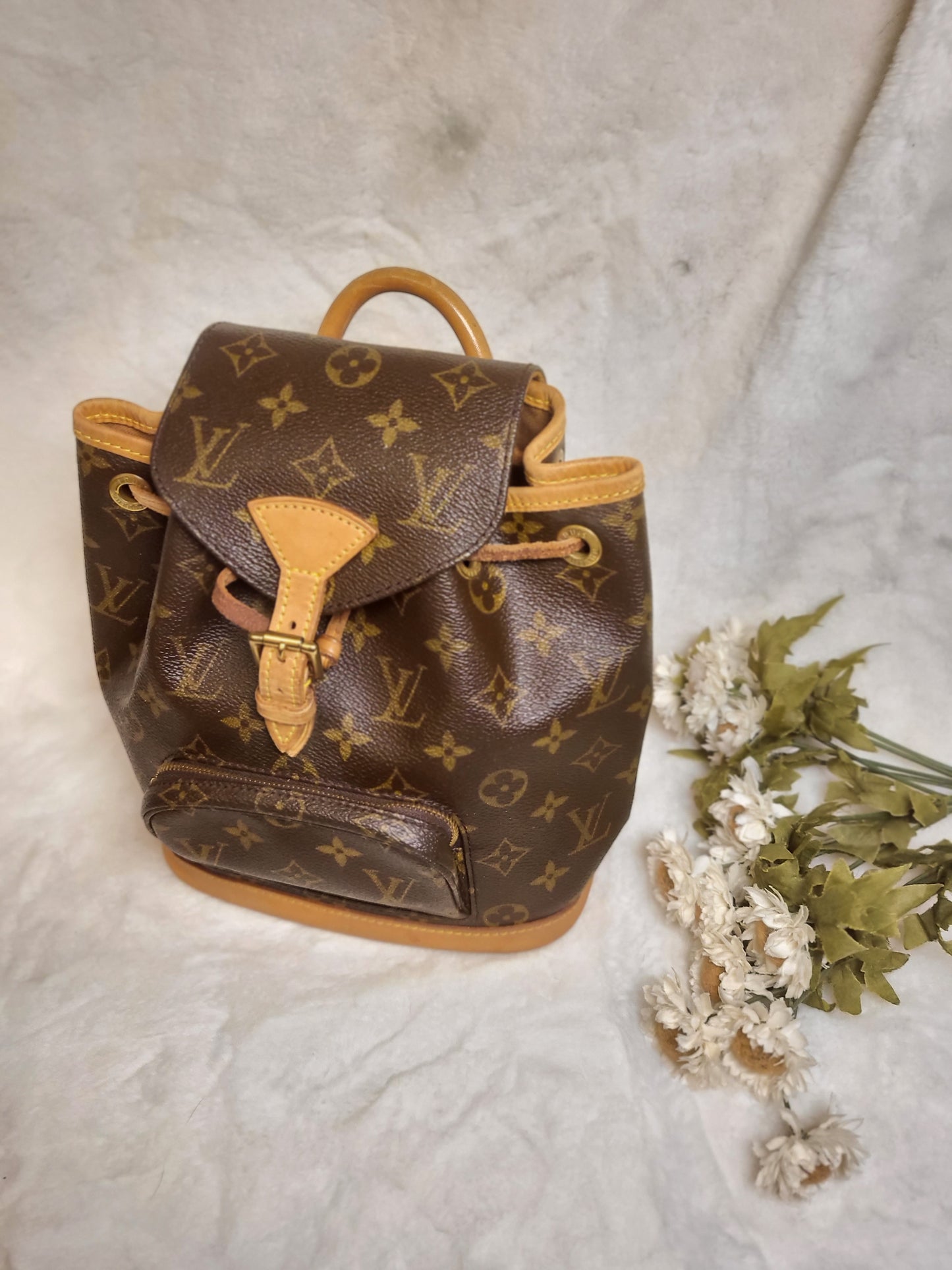 Authentic pre-owned Louis Vuitton montsouris pm mini backpack