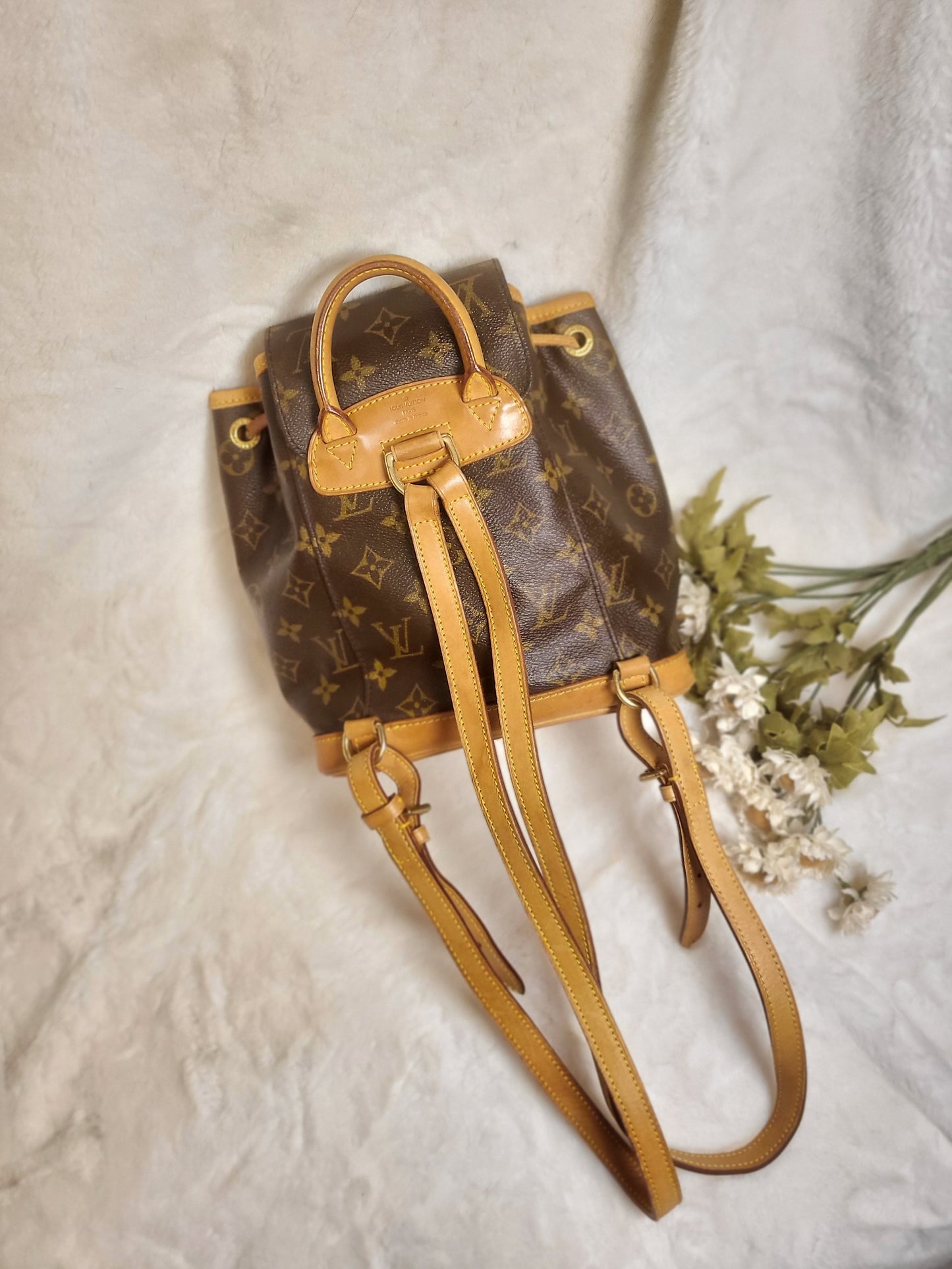 Authentic pre-owned Louis Vuitton montsouris pm mini backpack