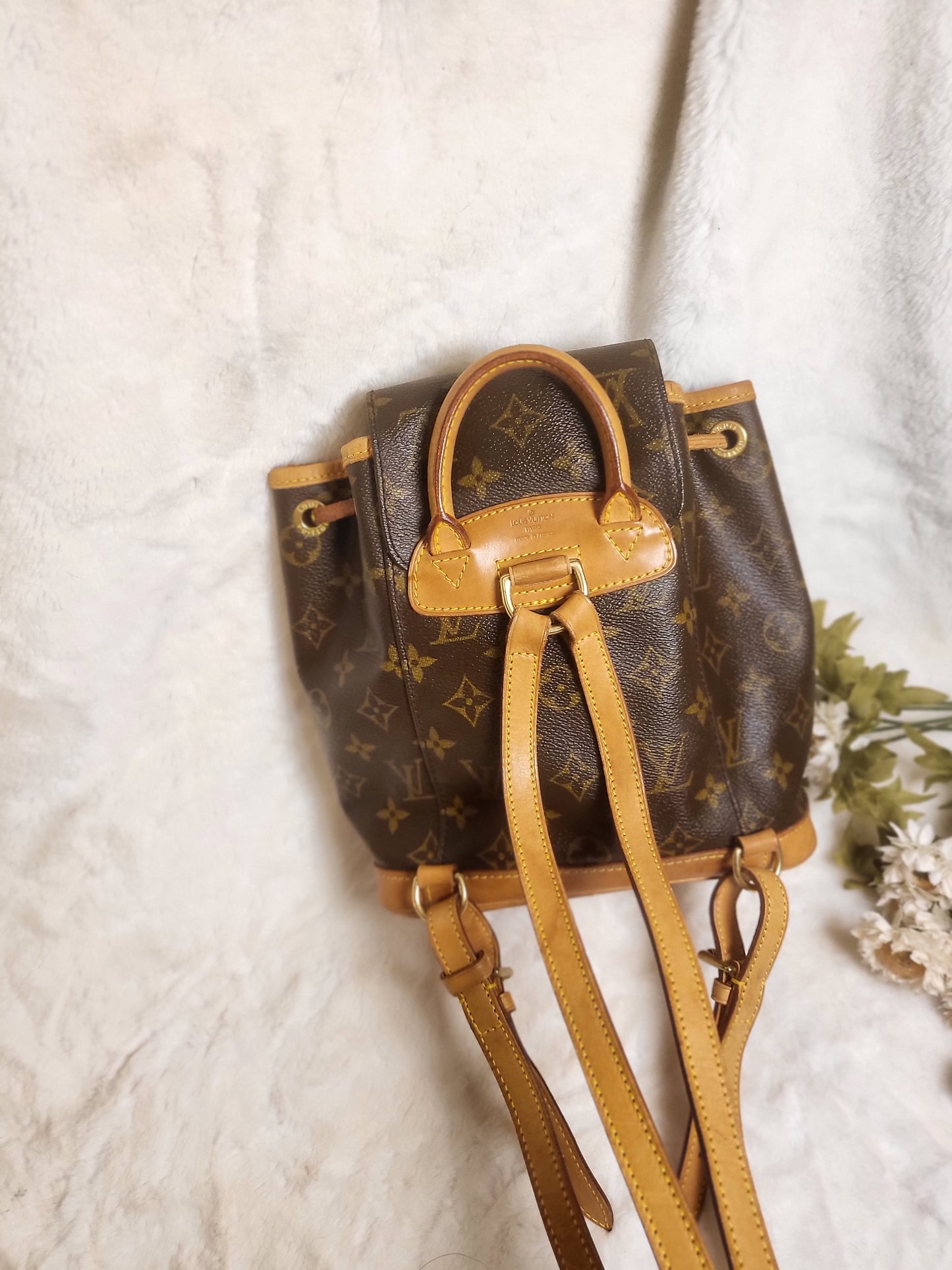 Authentic pre-owned Louis Vuitton montsouris pm mini backpack