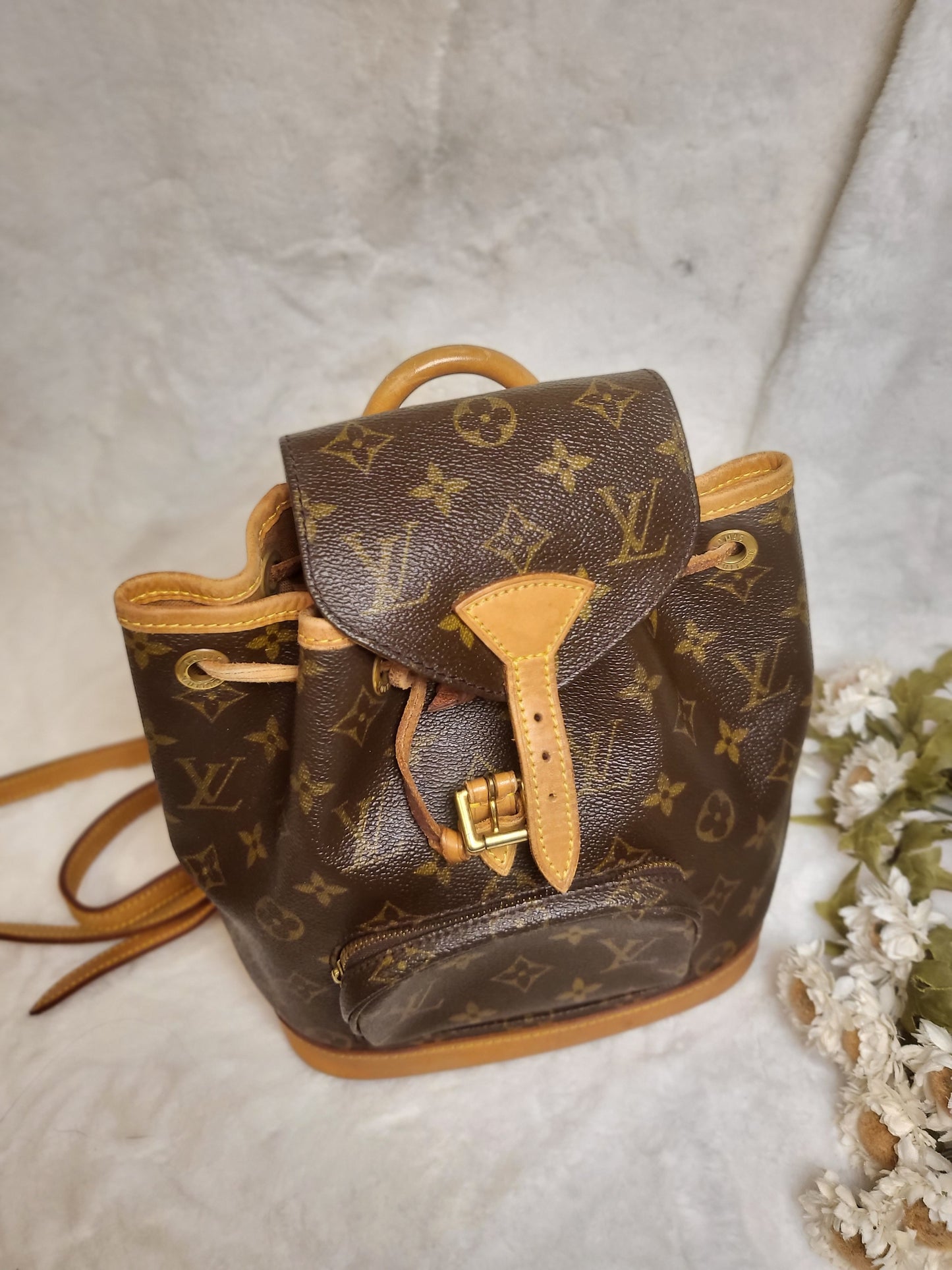 Authentic pre-owned Louis Vuitton montsouris pm mini backpack