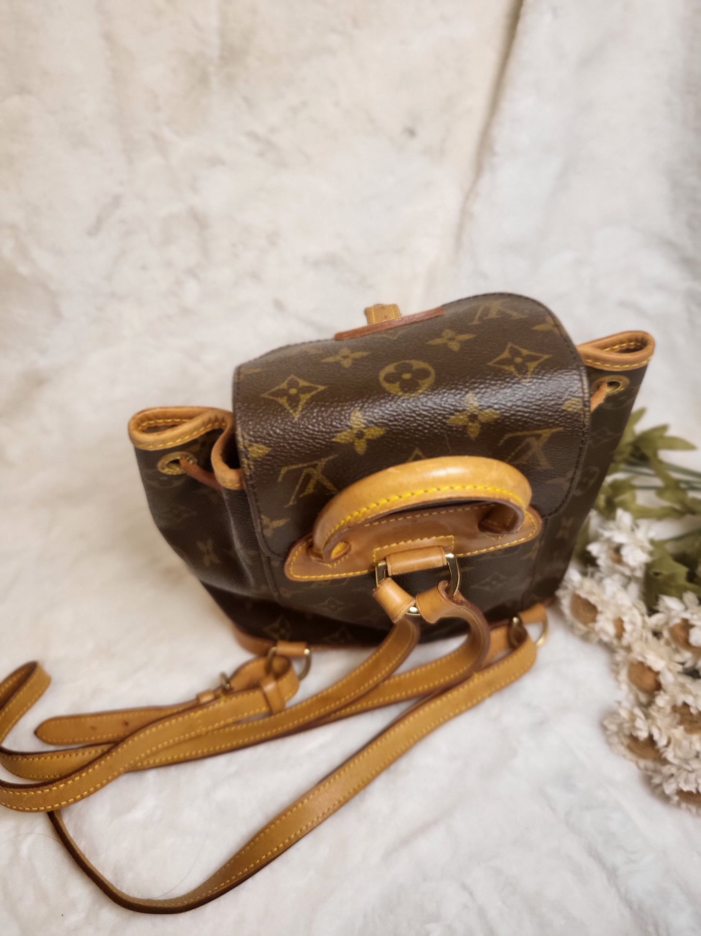 Authentic pre-owned Louis Vuitton montsouris pm mini backpack