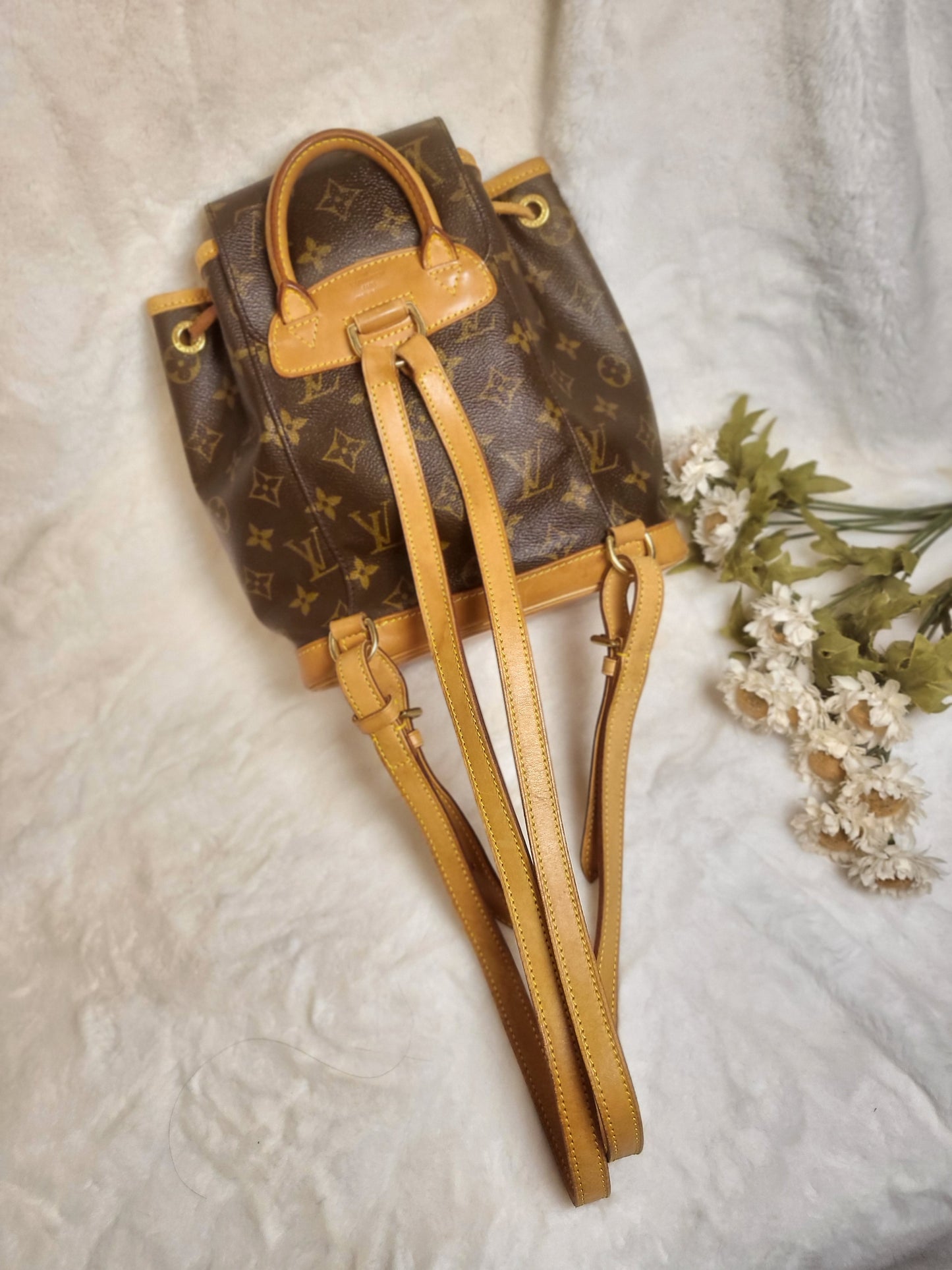 Authentic pre-owned Louis Vuitton montsouris pm mini backpack