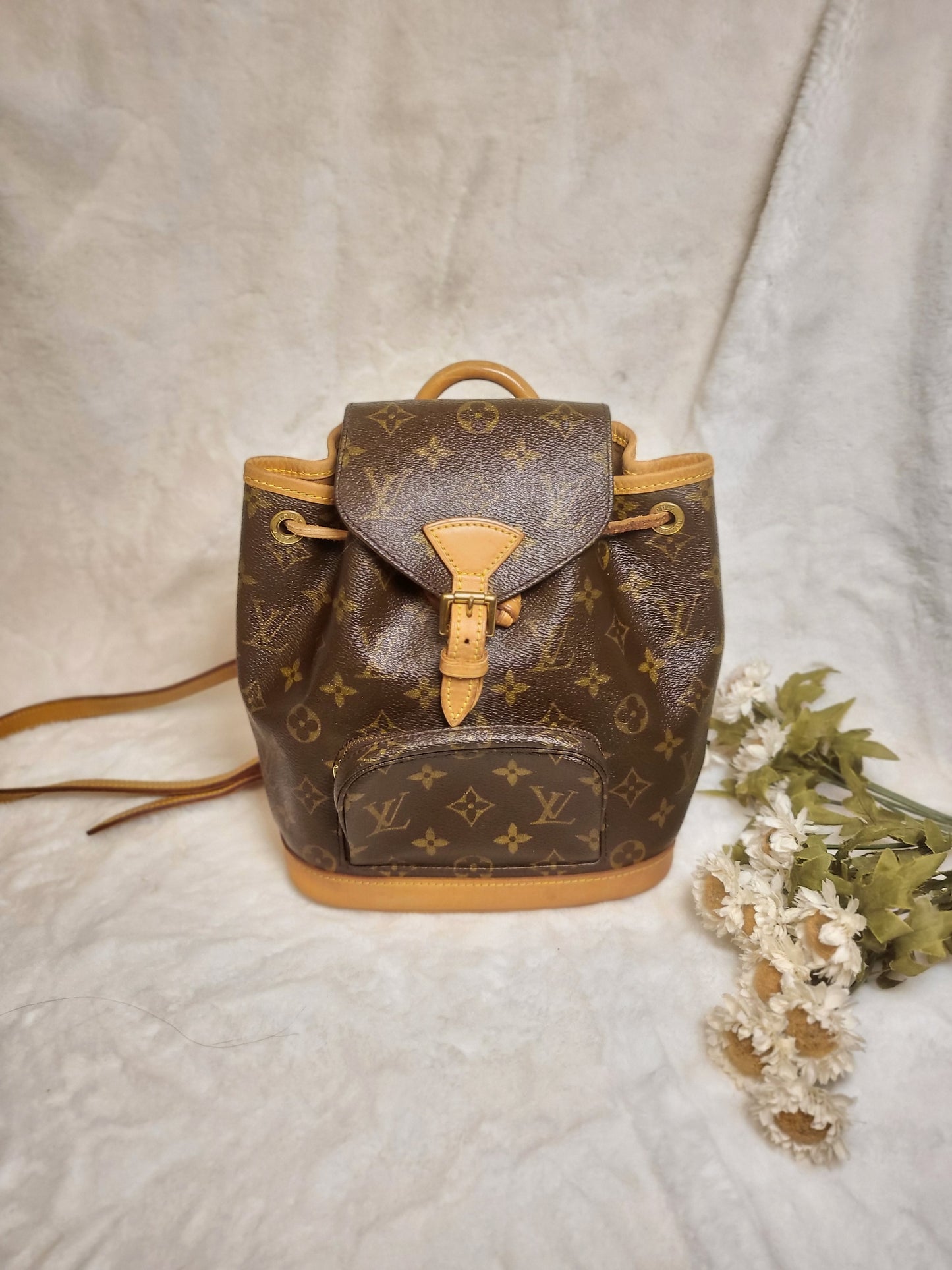 Authentic pre-owned Louis Vuitton montsouris pm mini backpack