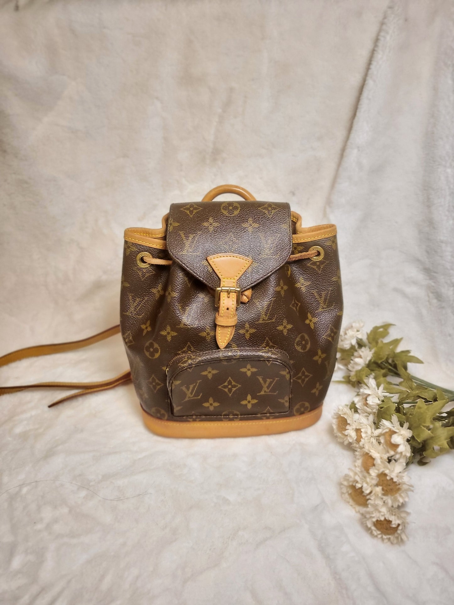 Authentic pre-owned Louis Vuitton montsouris pm mini backpack