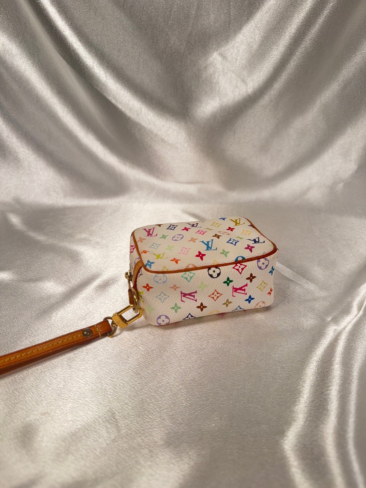 Louis Vuitton Multicolor Wapity case