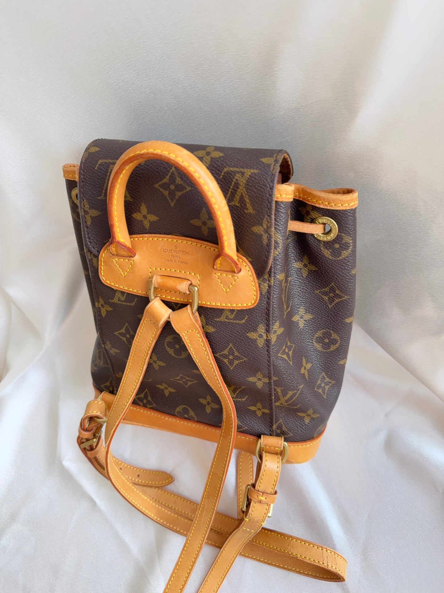 Louis Vuitton Montsouris pm mini backpack