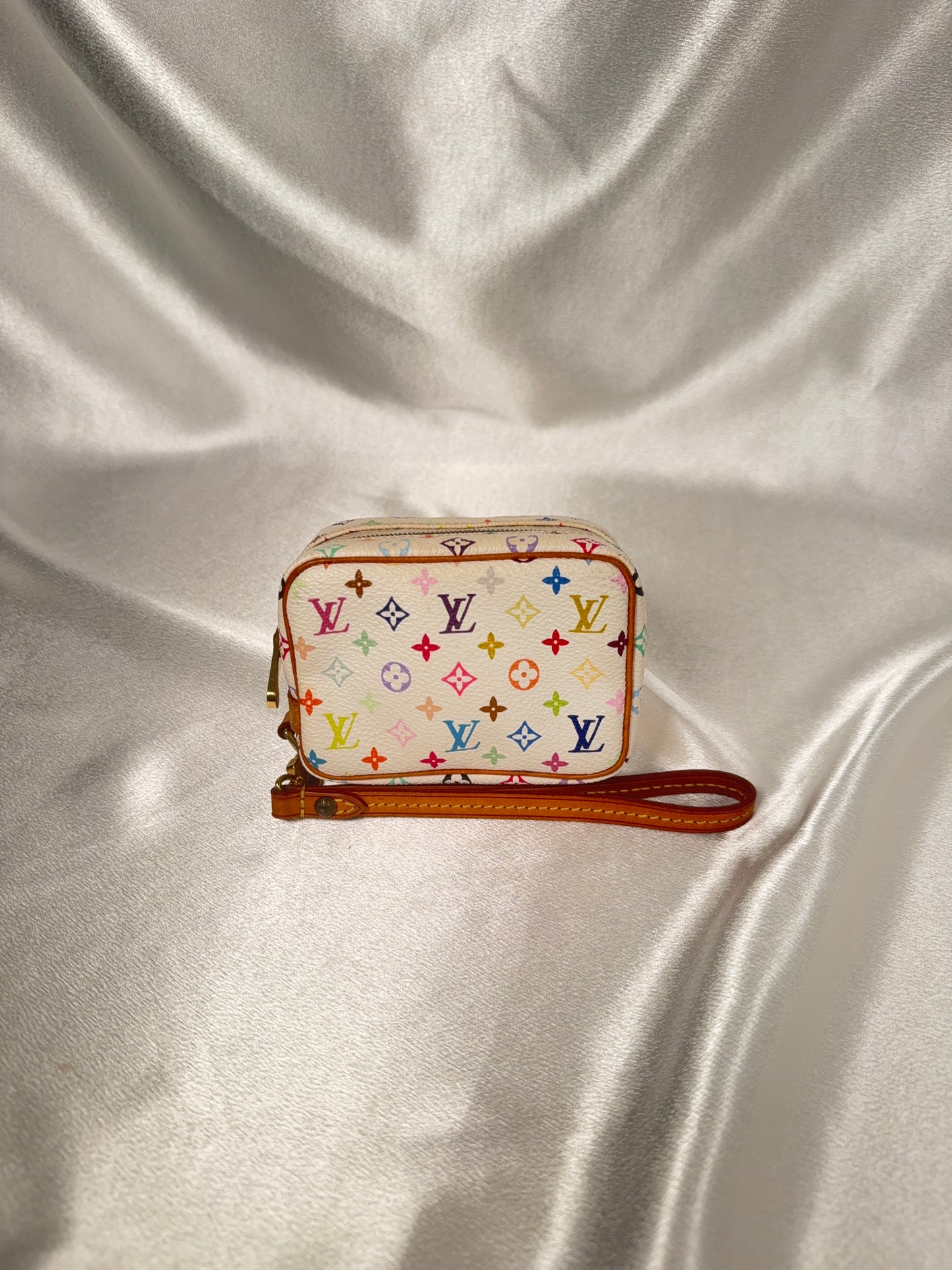 Louis Vuitton Multicolor Wapity case