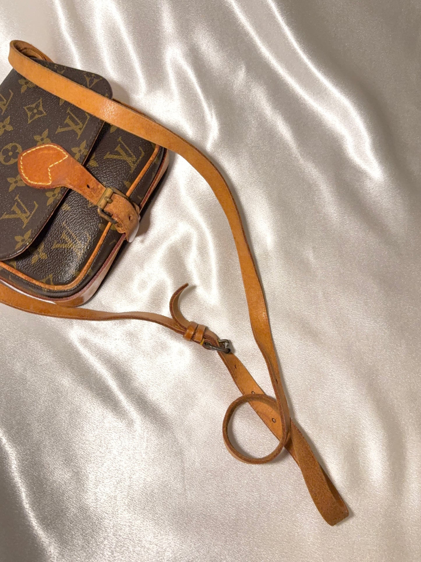 Louis Vuitton Cartouchiere pm