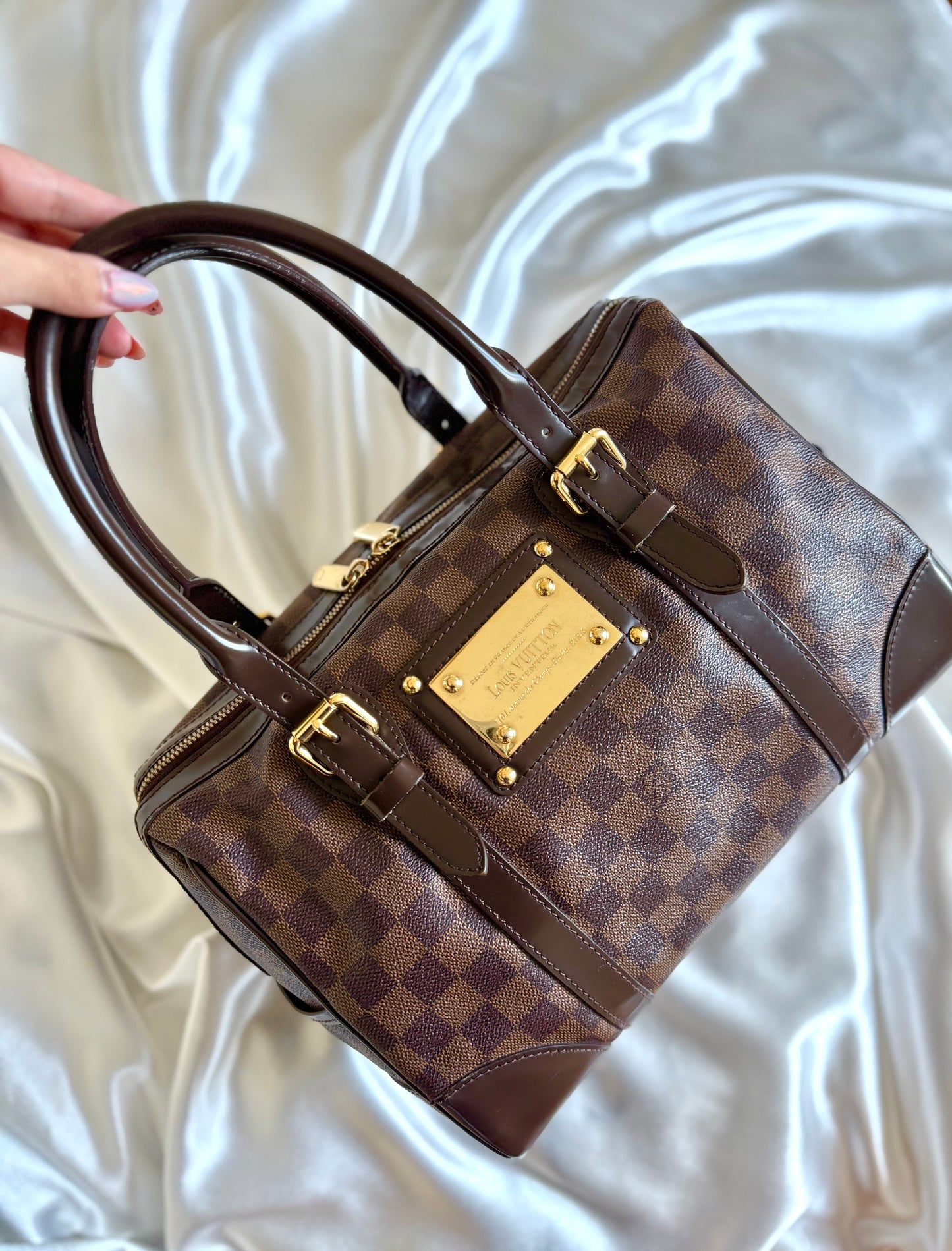 Louis Vuitton Damier Ebene Berkeley Bag
