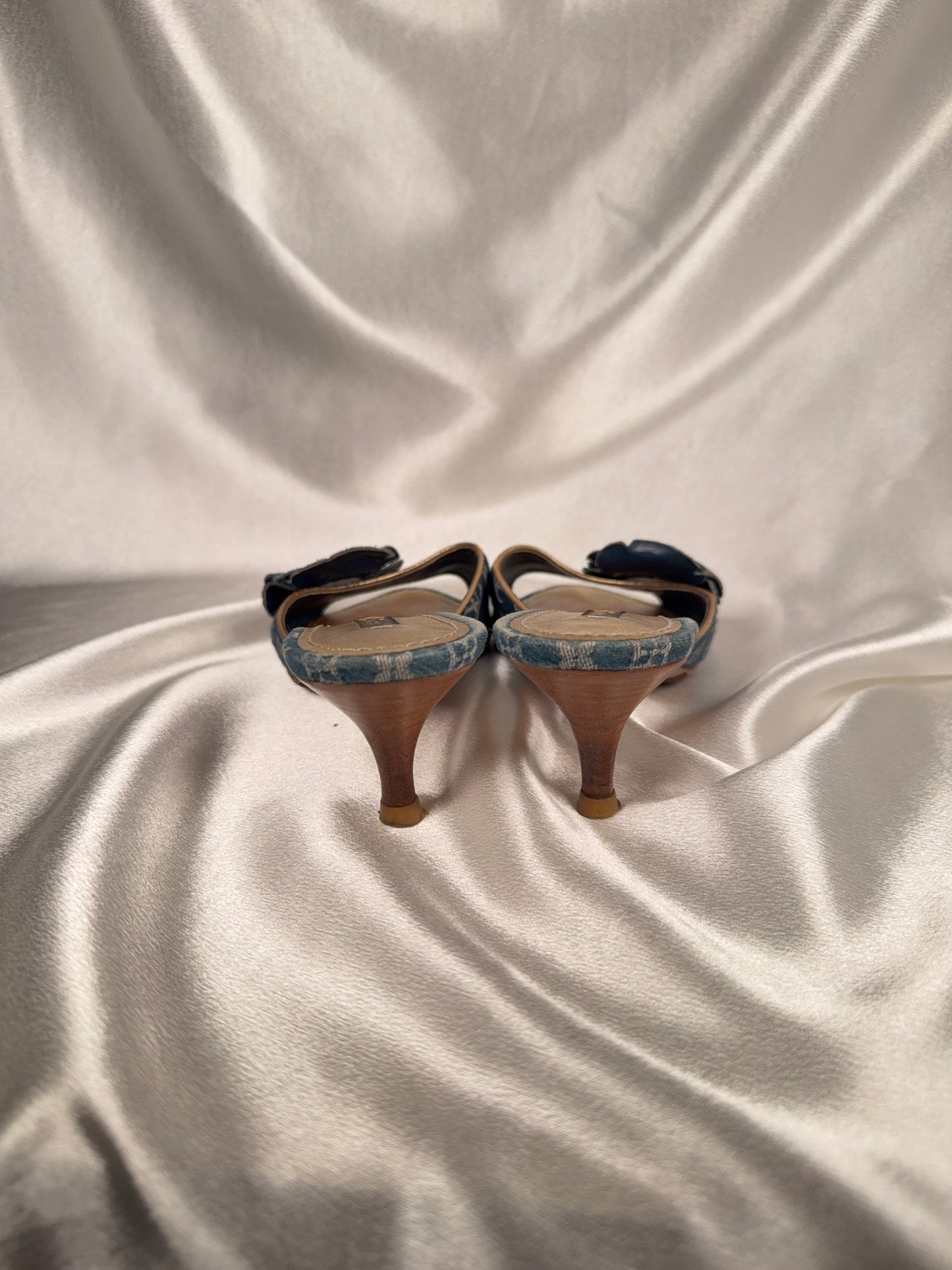Louis Vuitton denim kitten heels