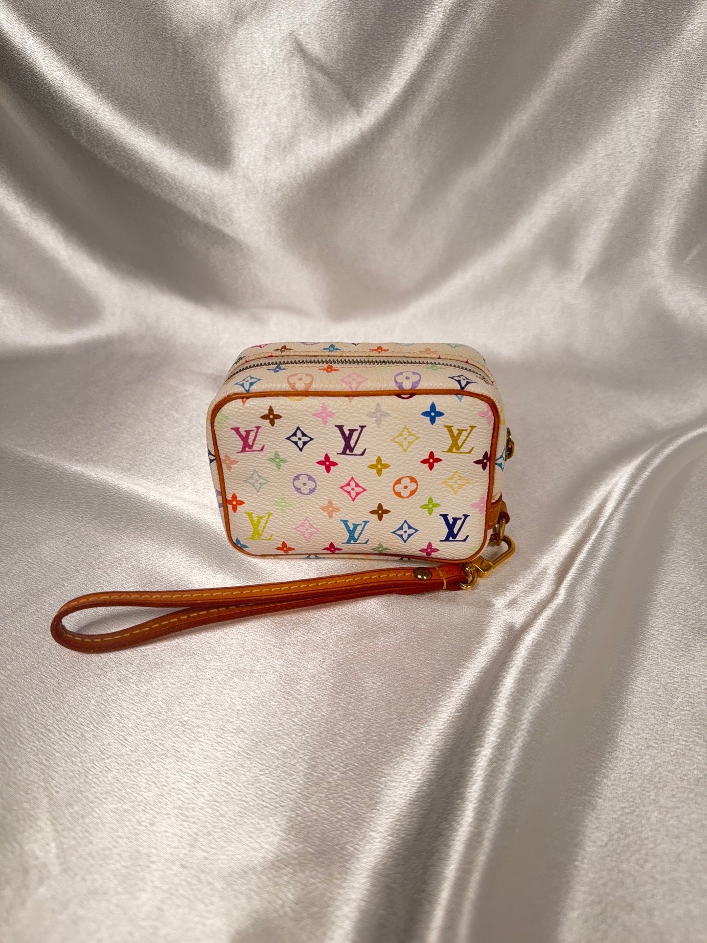 Louis Vuitton Multicolor Wapity case