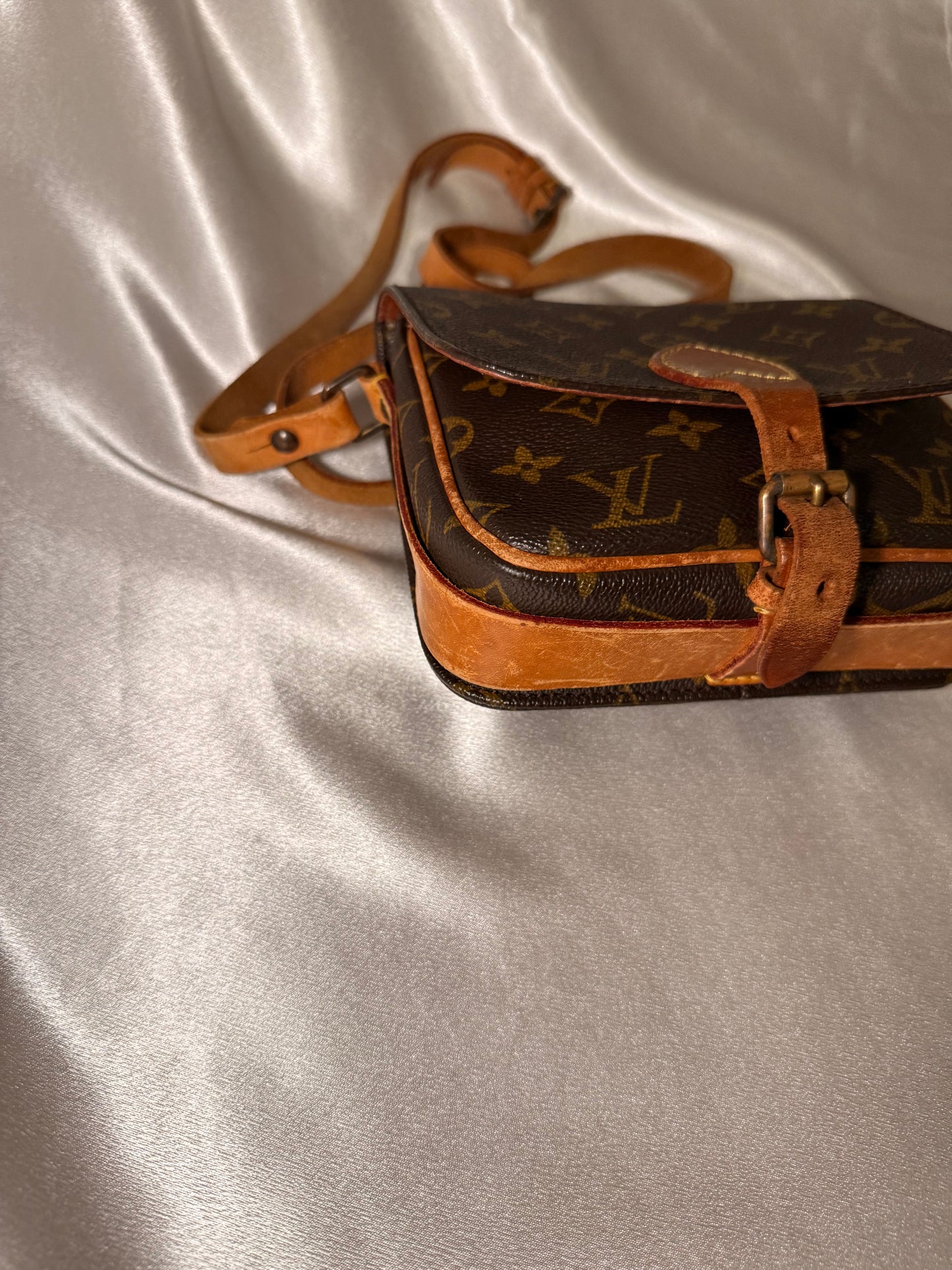 Louis Vuitton Cartouchiere pm