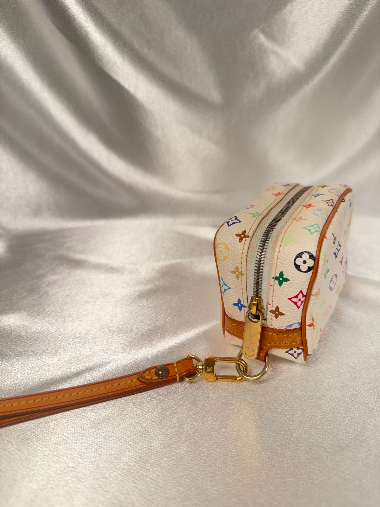 Louis Vuitton Multicolor Wapity case