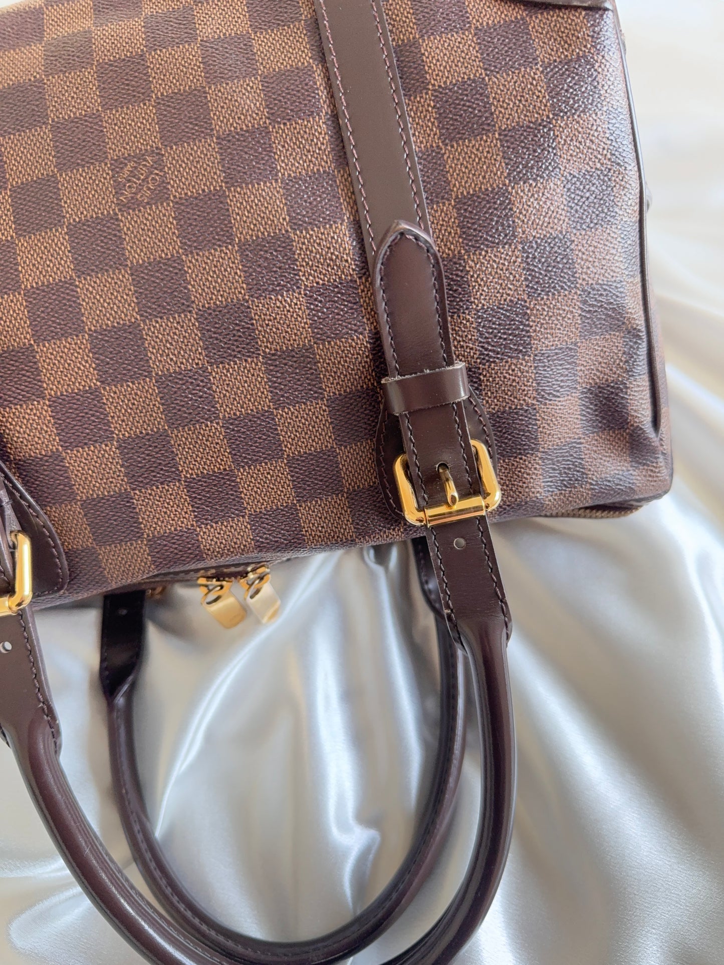 Louis Vuitton Damier Ebene Berkeley Bag