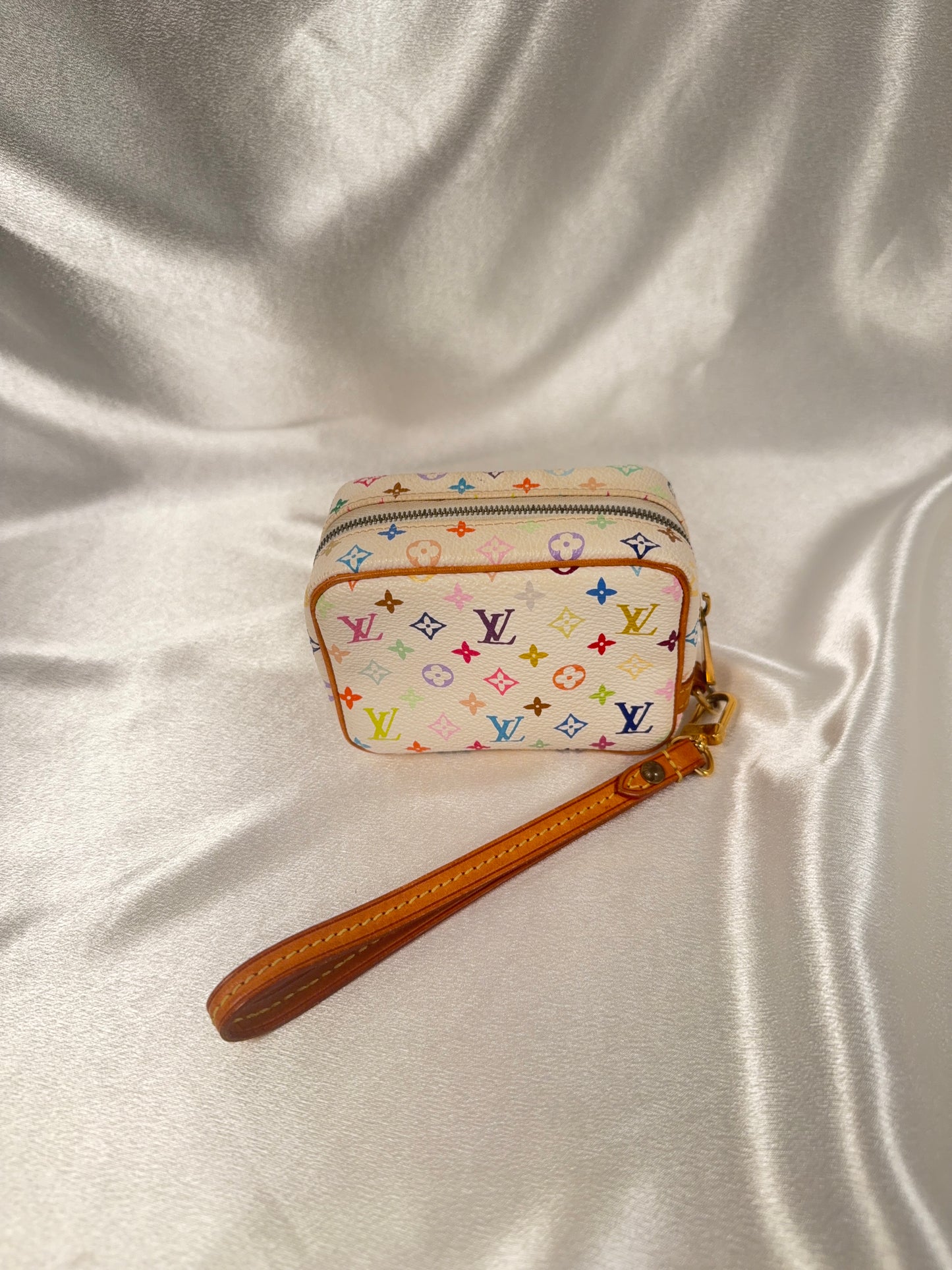 Louis Vuitton Multicolor Wapity case