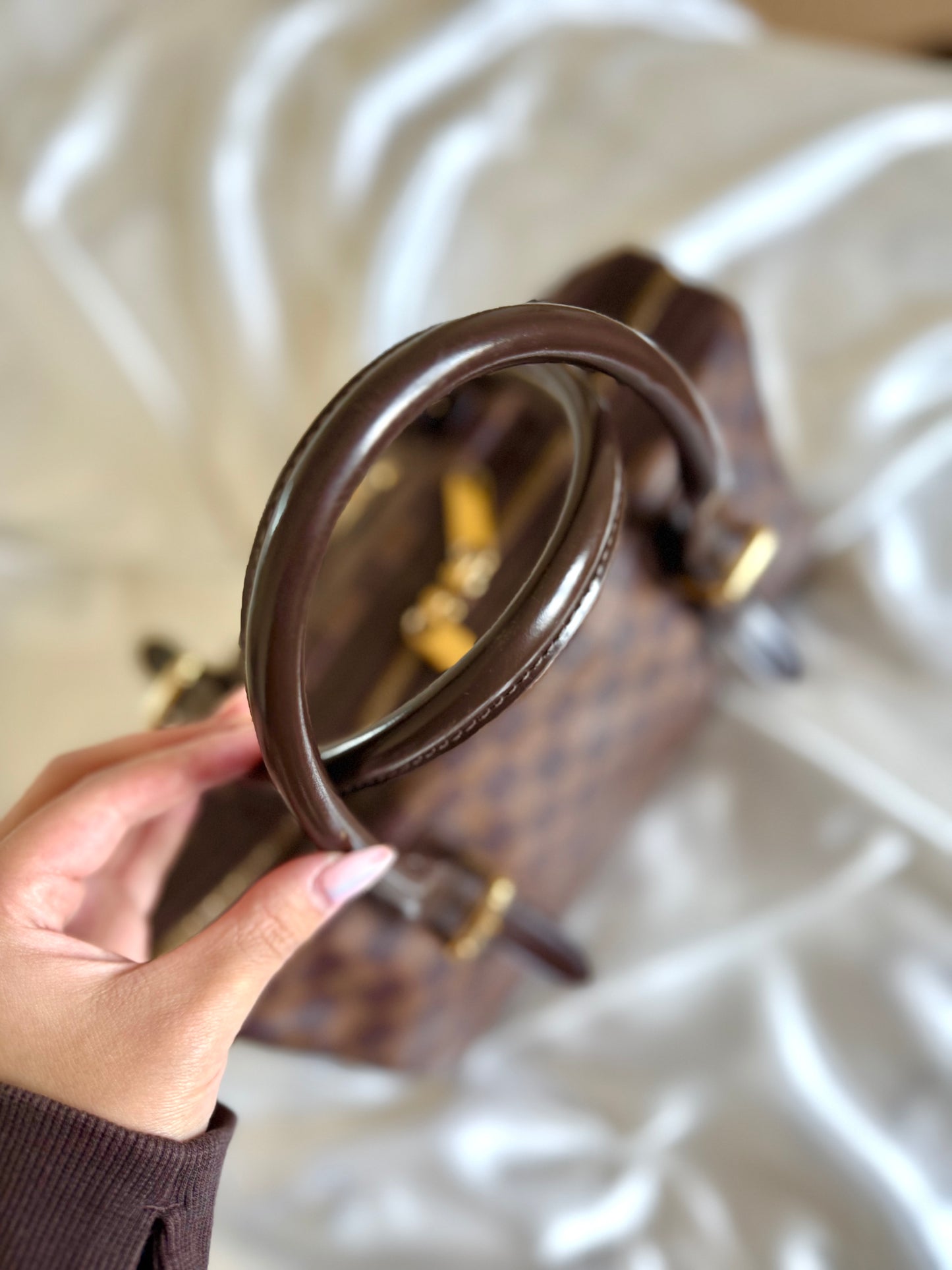Louis Vuitton Damier Ebene Berkeley Bag