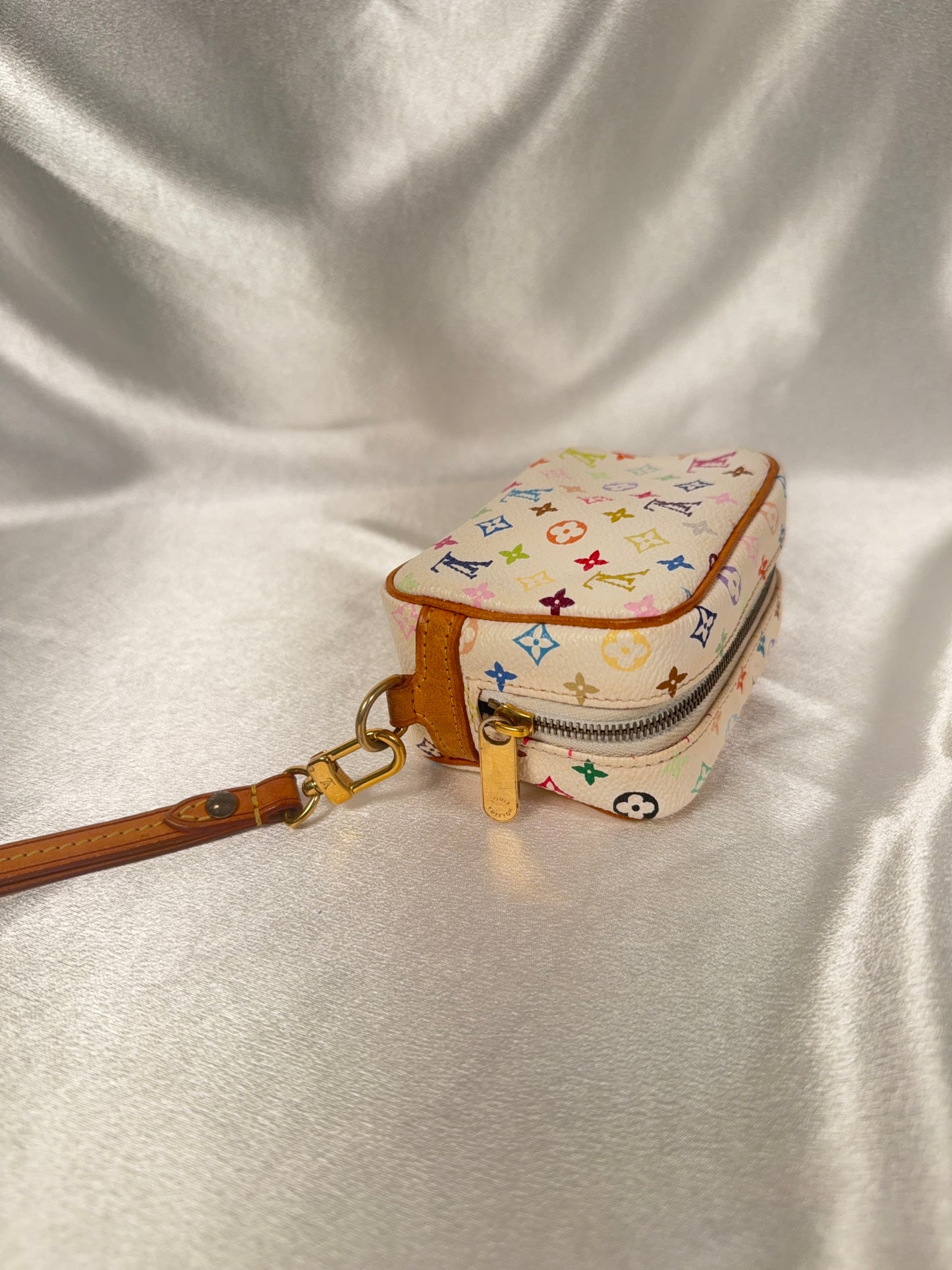 Louis Vuitton Multicolor Wapity case
