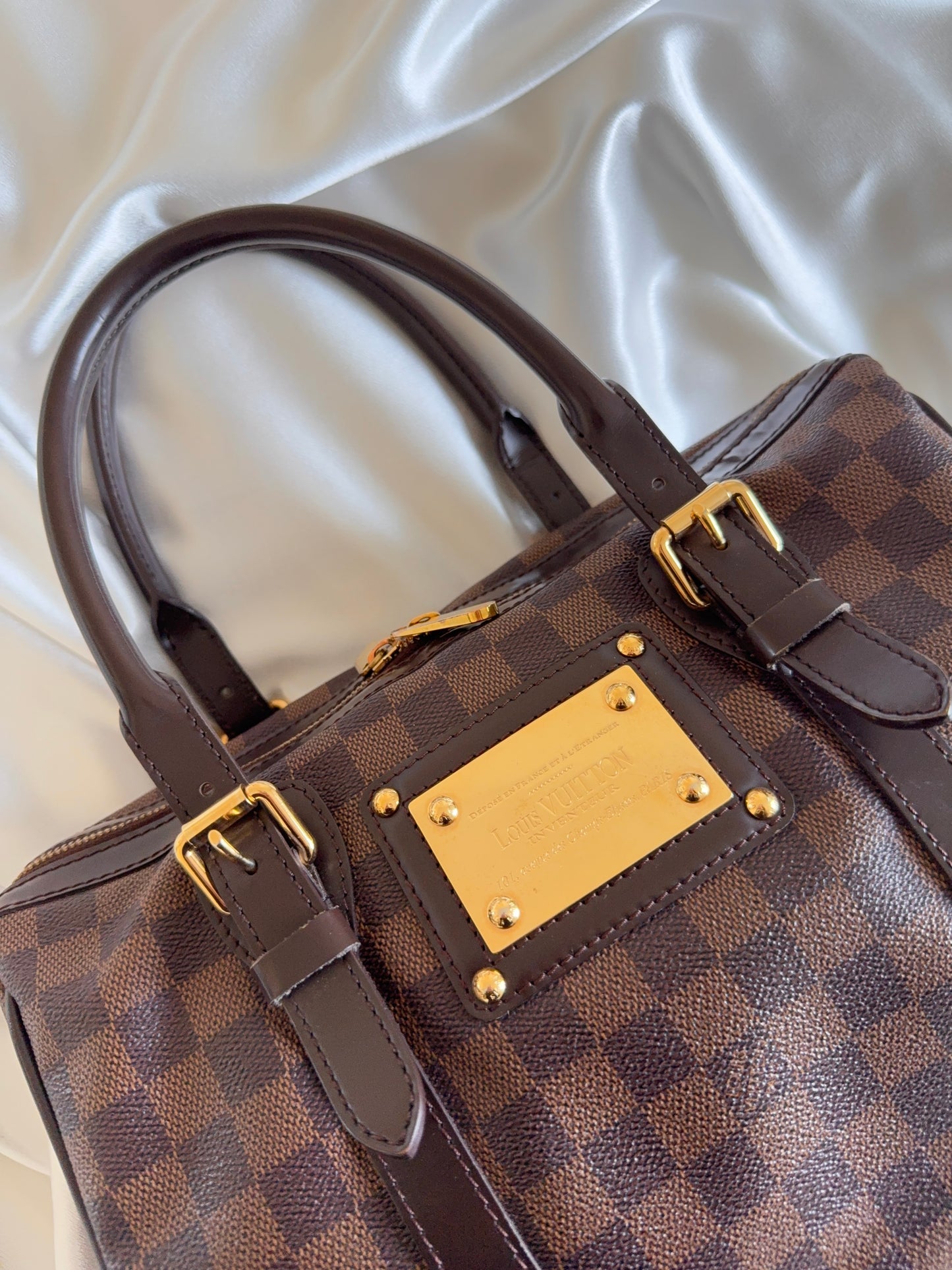 Louis Vuitton Damier Ebene Berkeley Bag