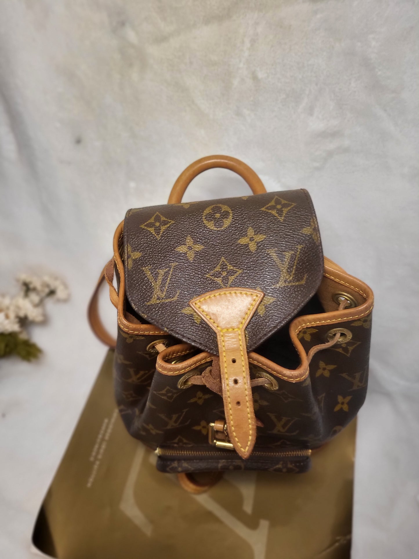 Authentic pre-owned Louis Montsouris mini backpack