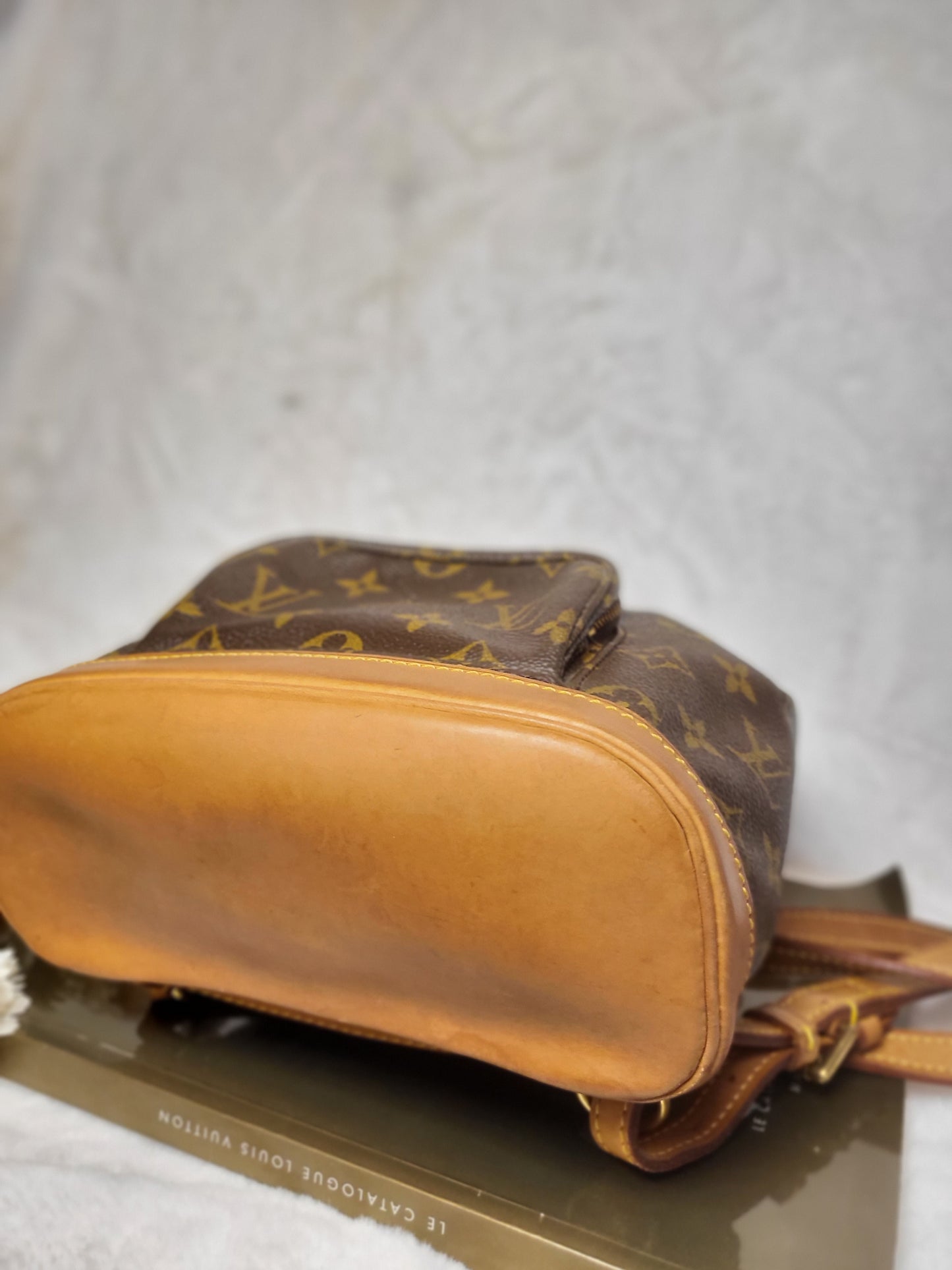 Authentic pre-owned Louis Montsouris mini backpack