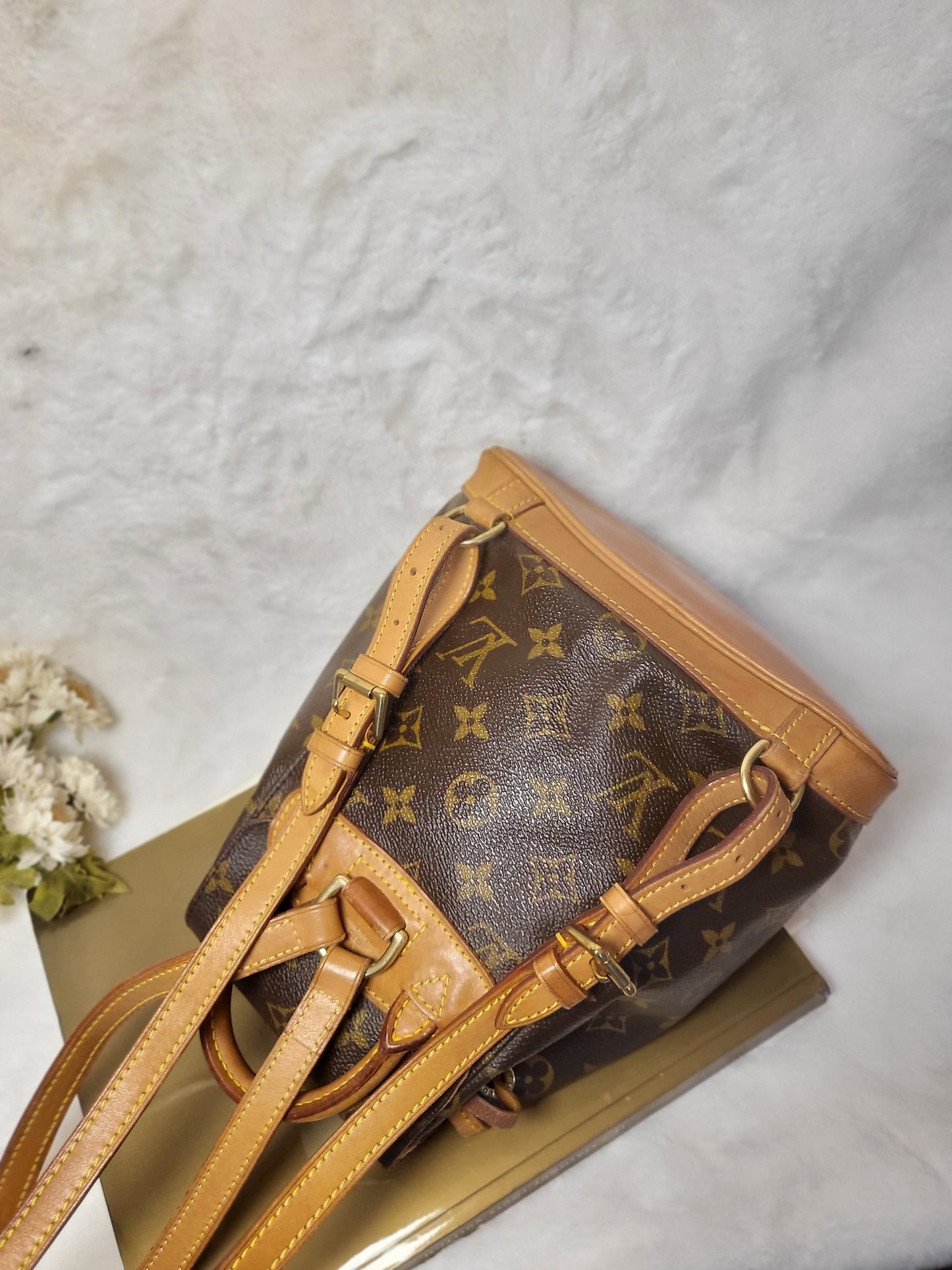 Authentic pre-owned Louis Montsouris mini backpack
