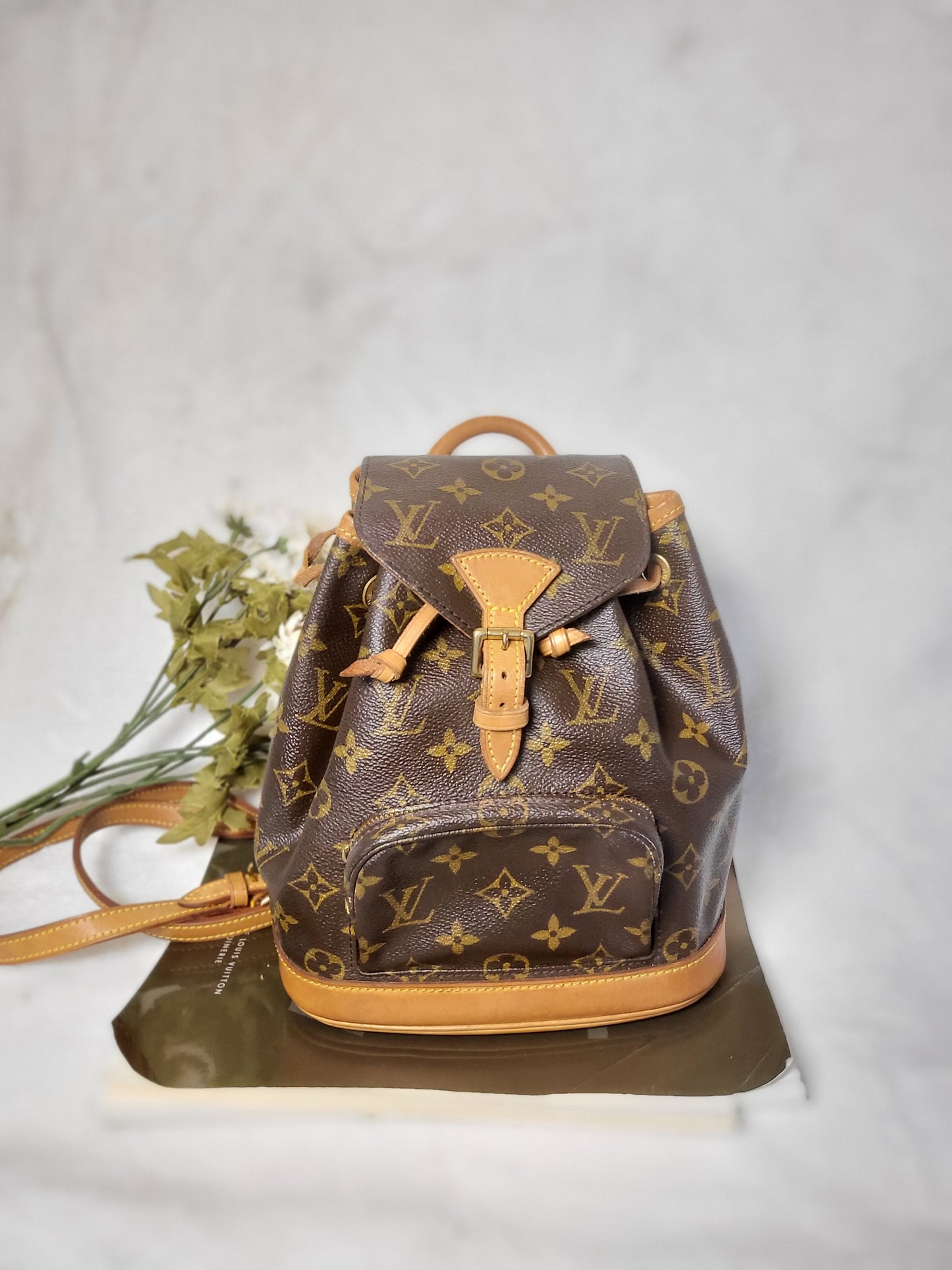 Authentic pre-owned Louis Montsouris mini backpack