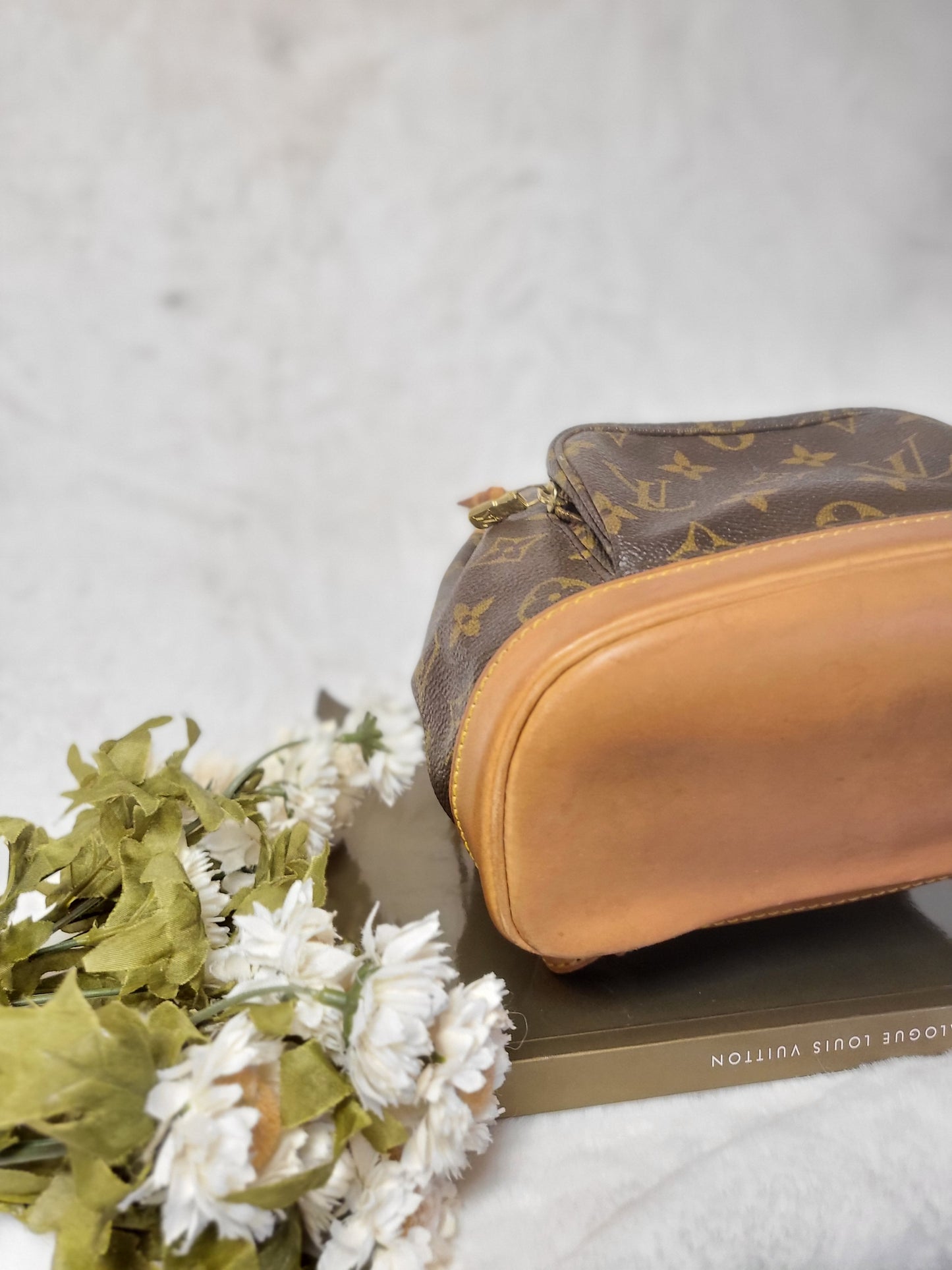 Authentic pre-owned Louis Montsouris mini backpack