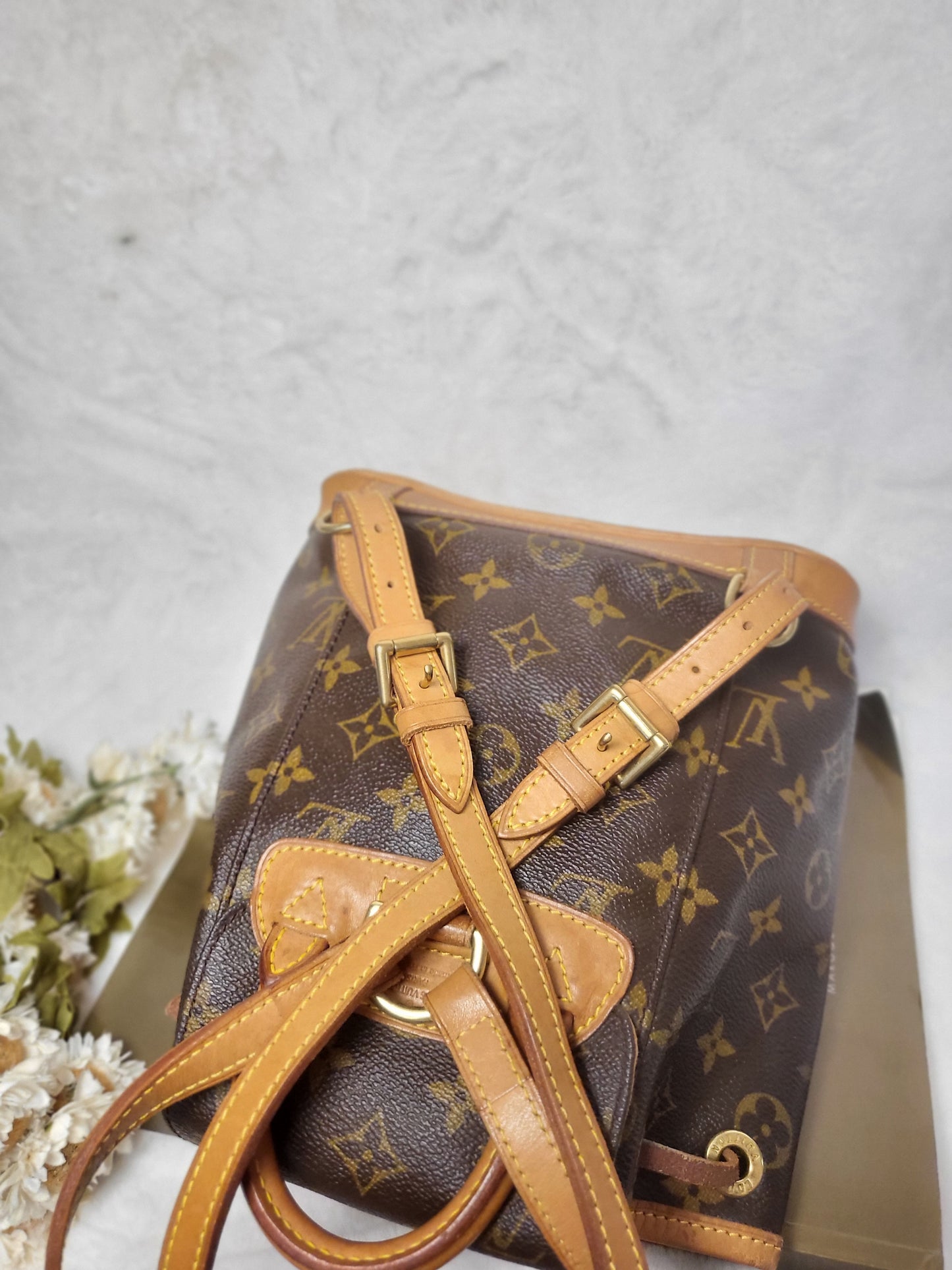 Authentic pre-owned Louis Montsouris mini backpack