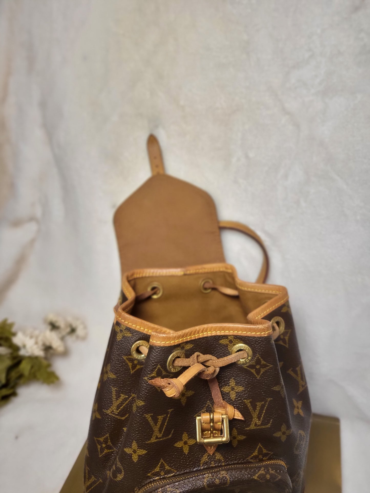 Authentic pre-owned Louis Montsouris mini backpack