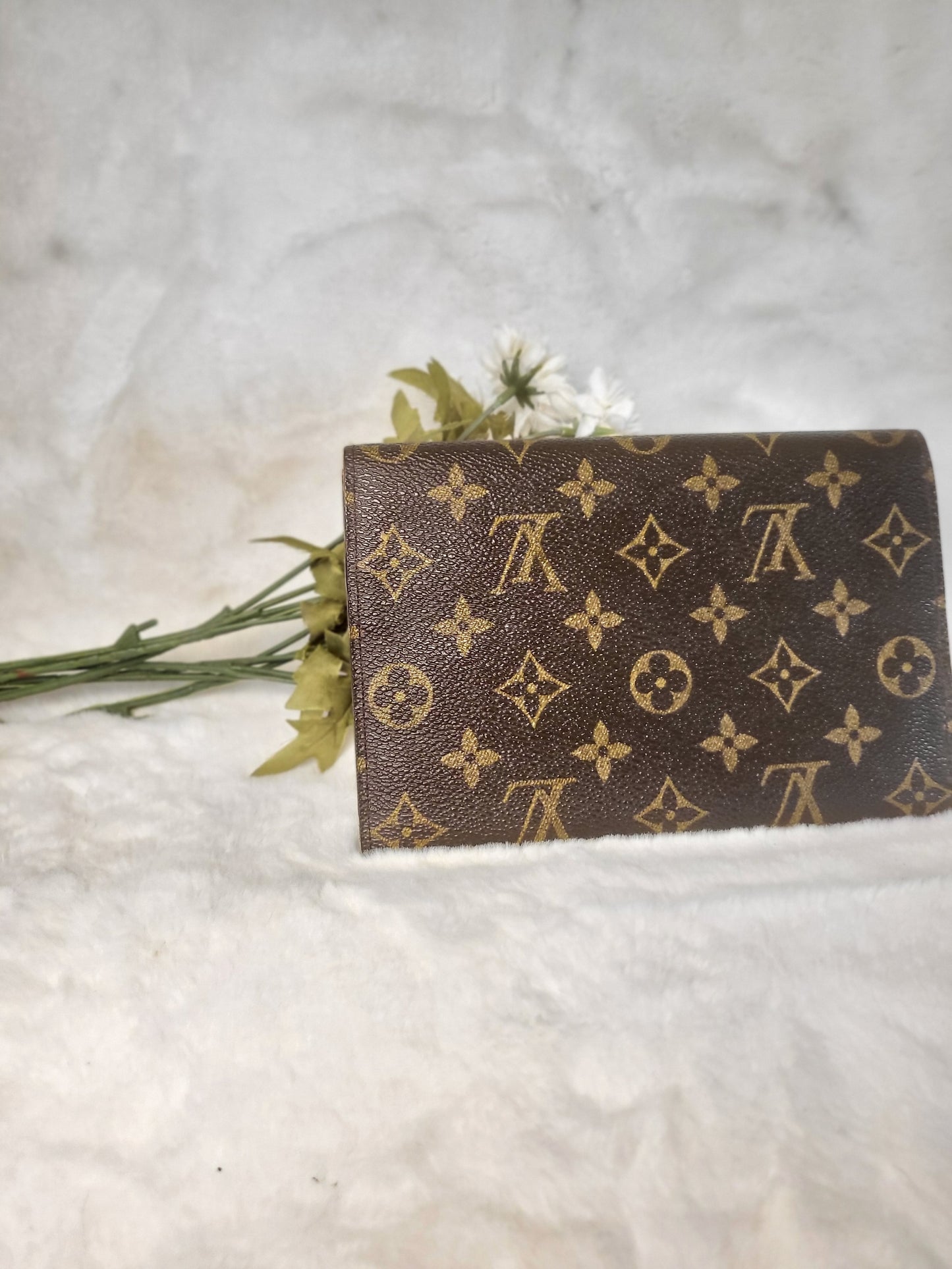Authentic pre-owned Louis Vuitton Pochette passport wallet