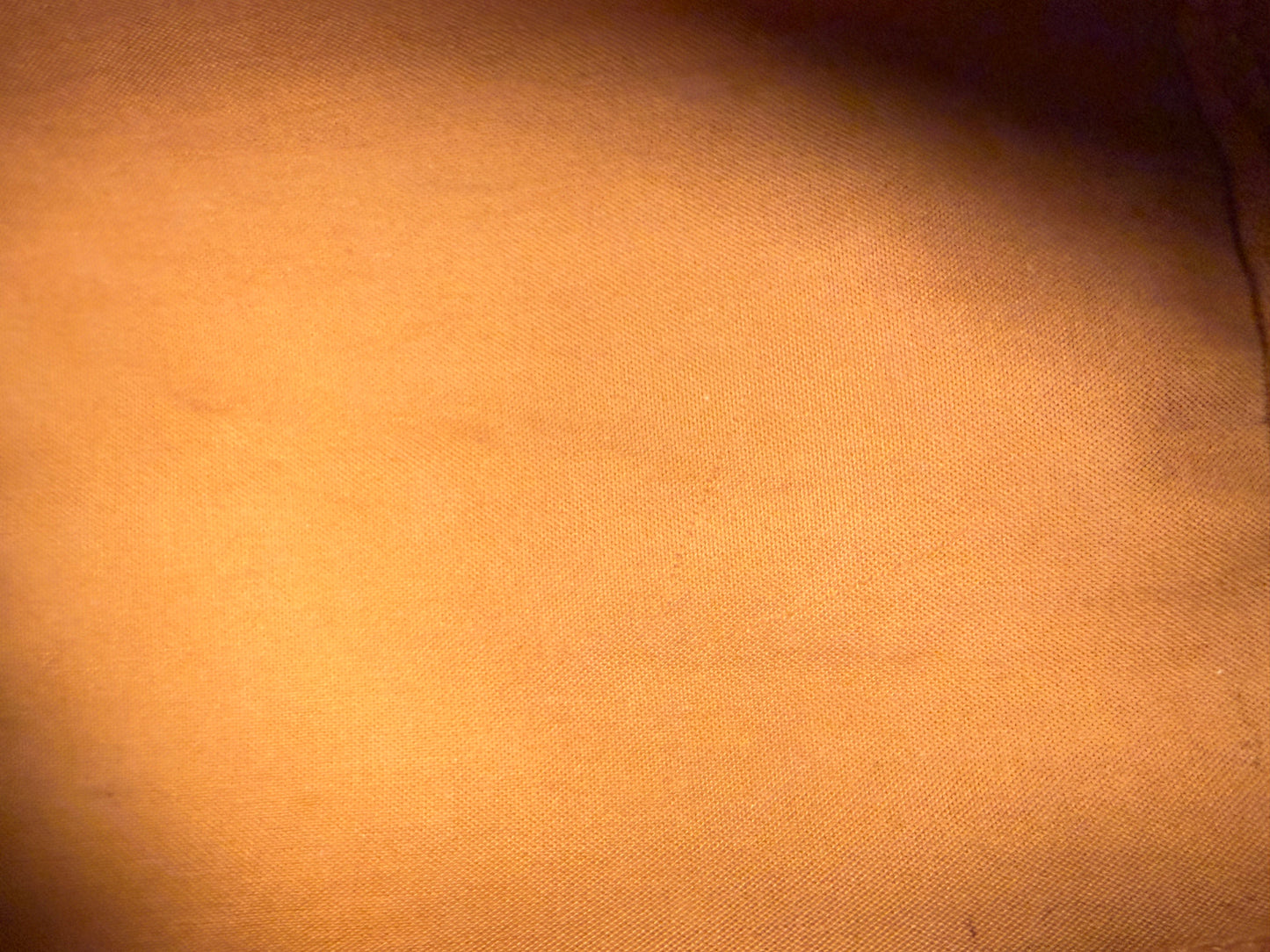 Louis Vuitton Speedy 25