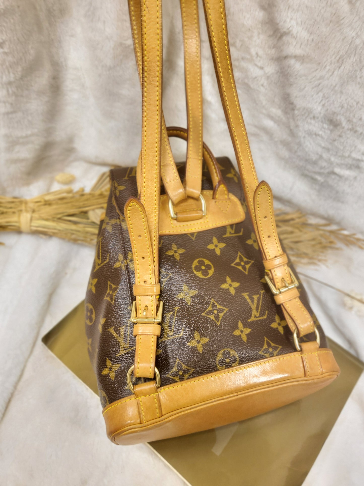 Authentic pre-owned Louis Vuitton Montsouris mini pm backpack