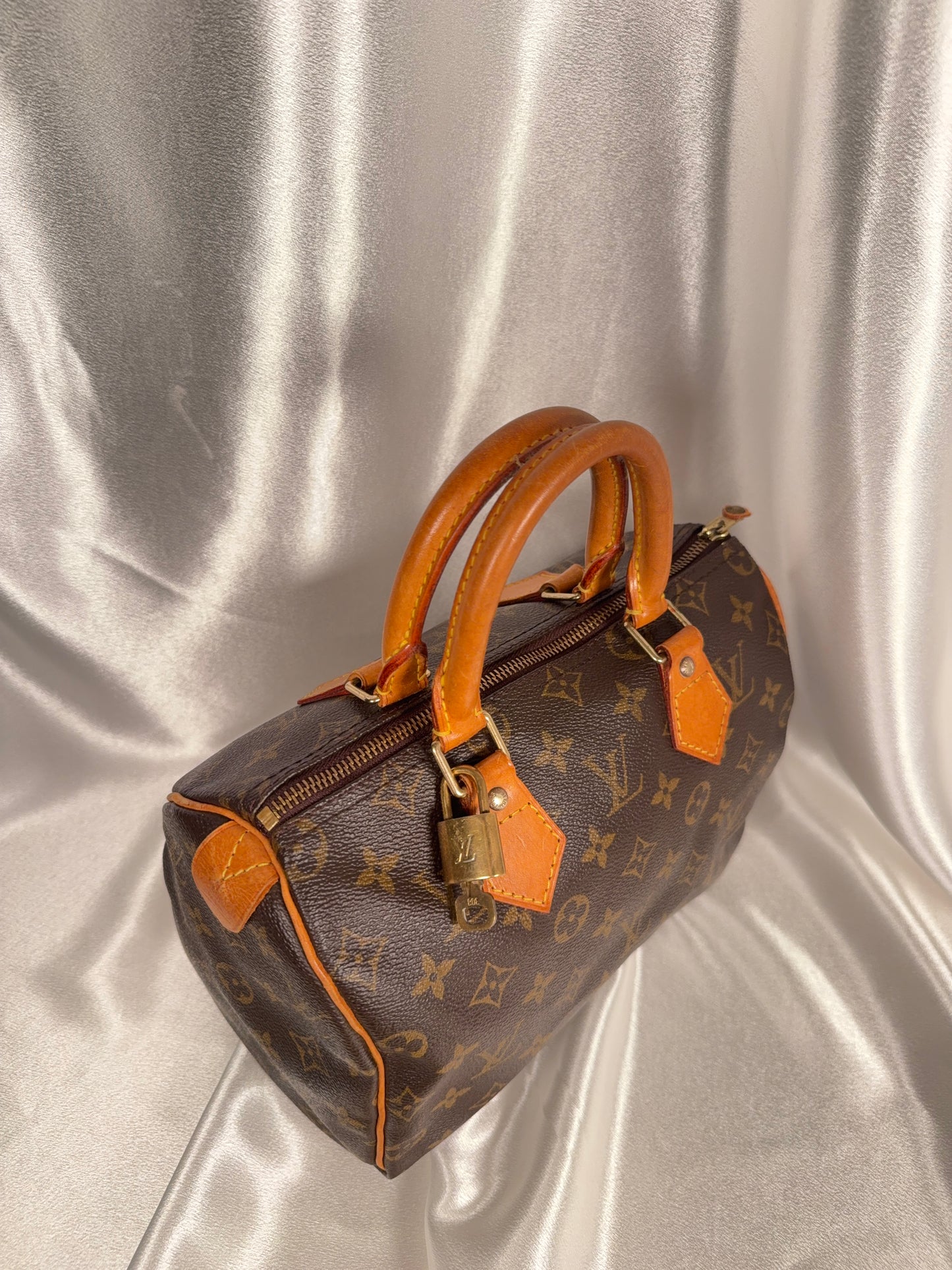 Louis Vuitton Speedy 25