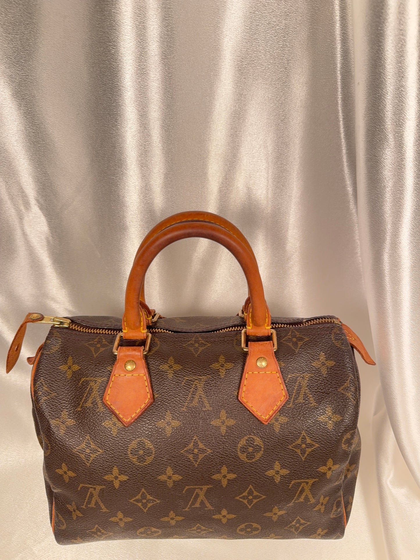 Louis Vuitton Speedy 25