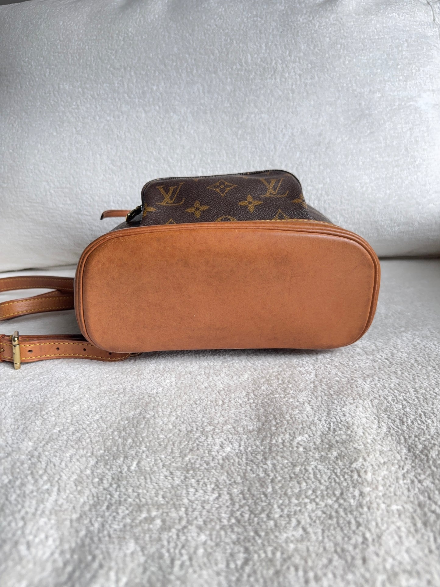 Louis Vuitton Montsouris pm mini backpack