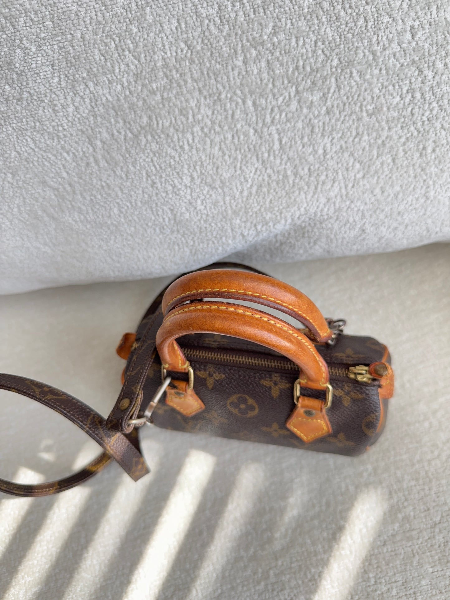 Louis Vuitton speedy mini