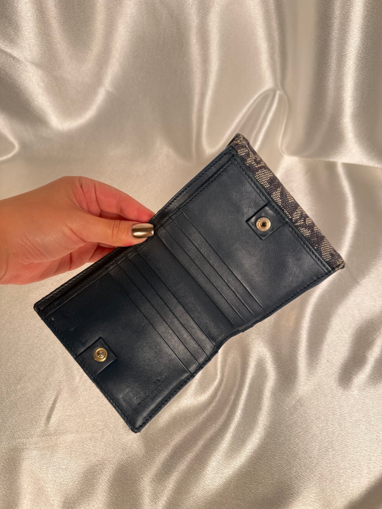 Dior trotter saddle wallet