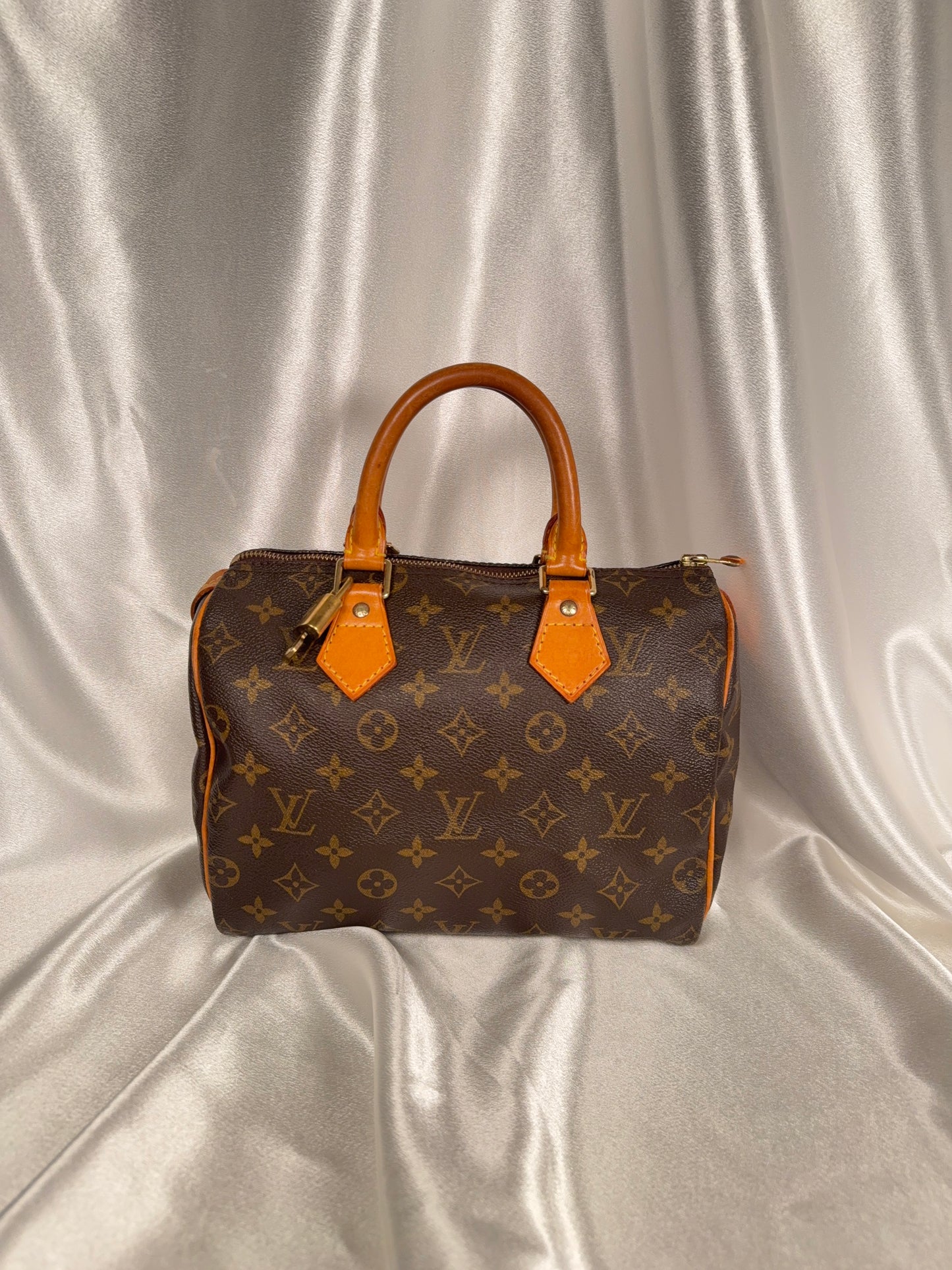 Louis Vuitton Speedy 25