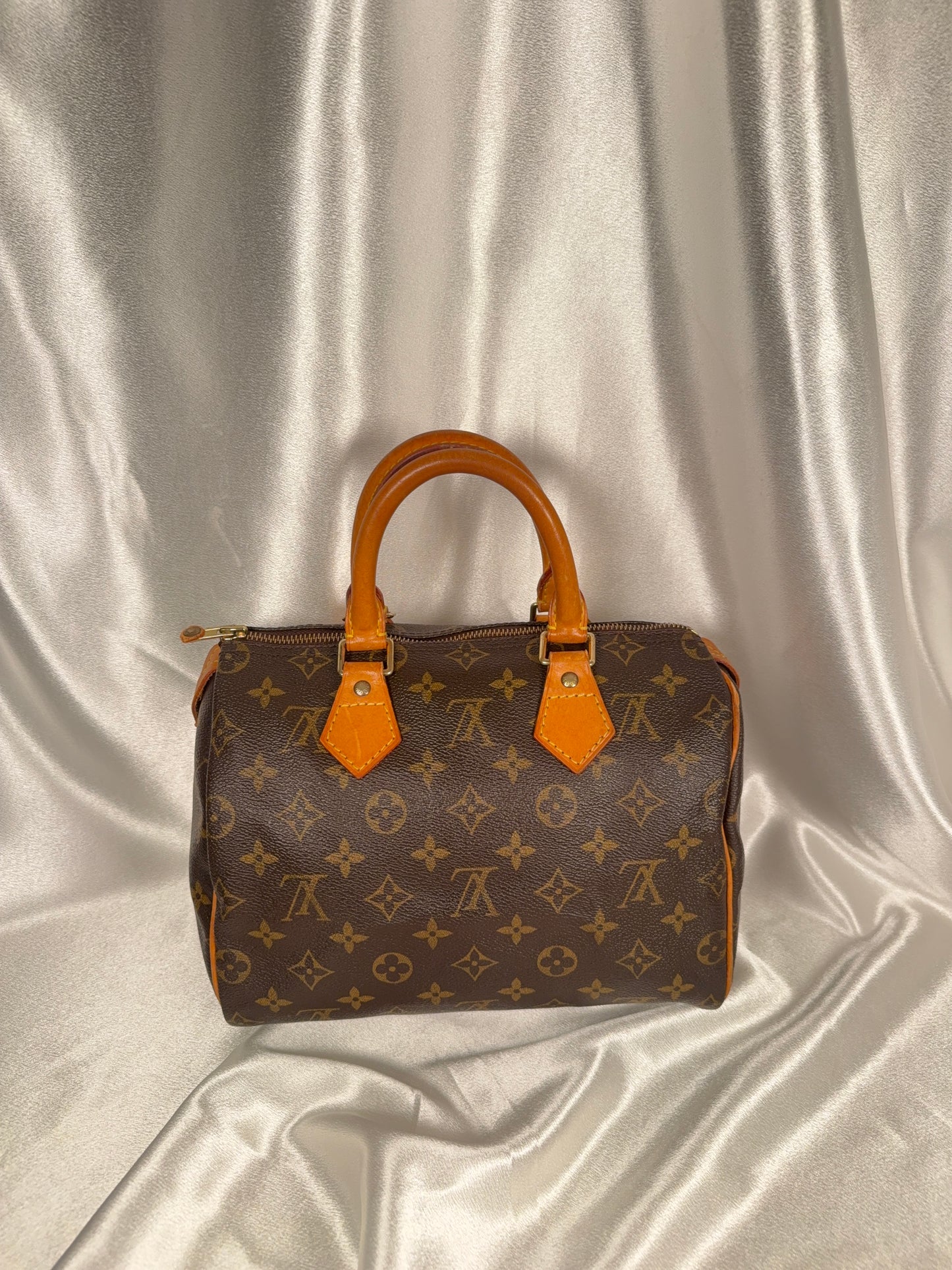 Louis Vuitton Speedy 25