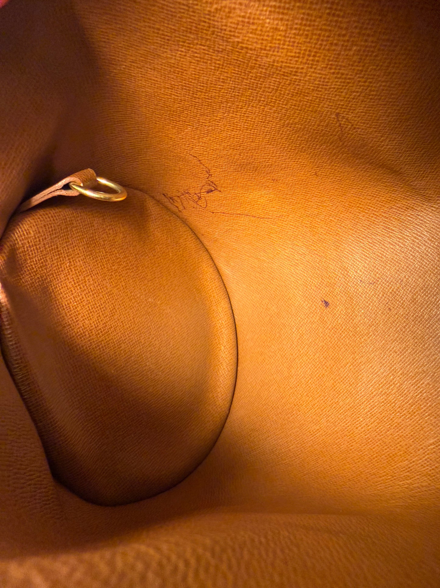 Louis Vuitton Papillon