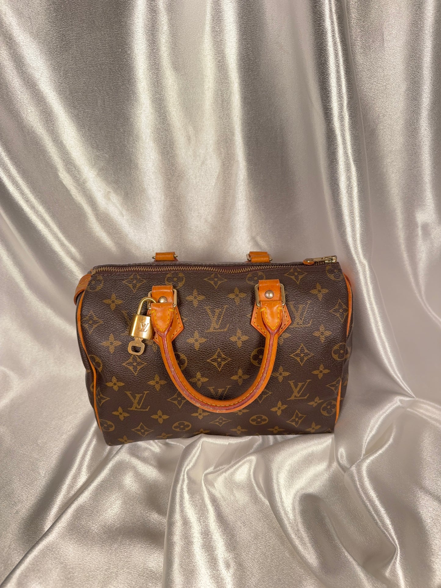 Louis Vuitton Speedy 25