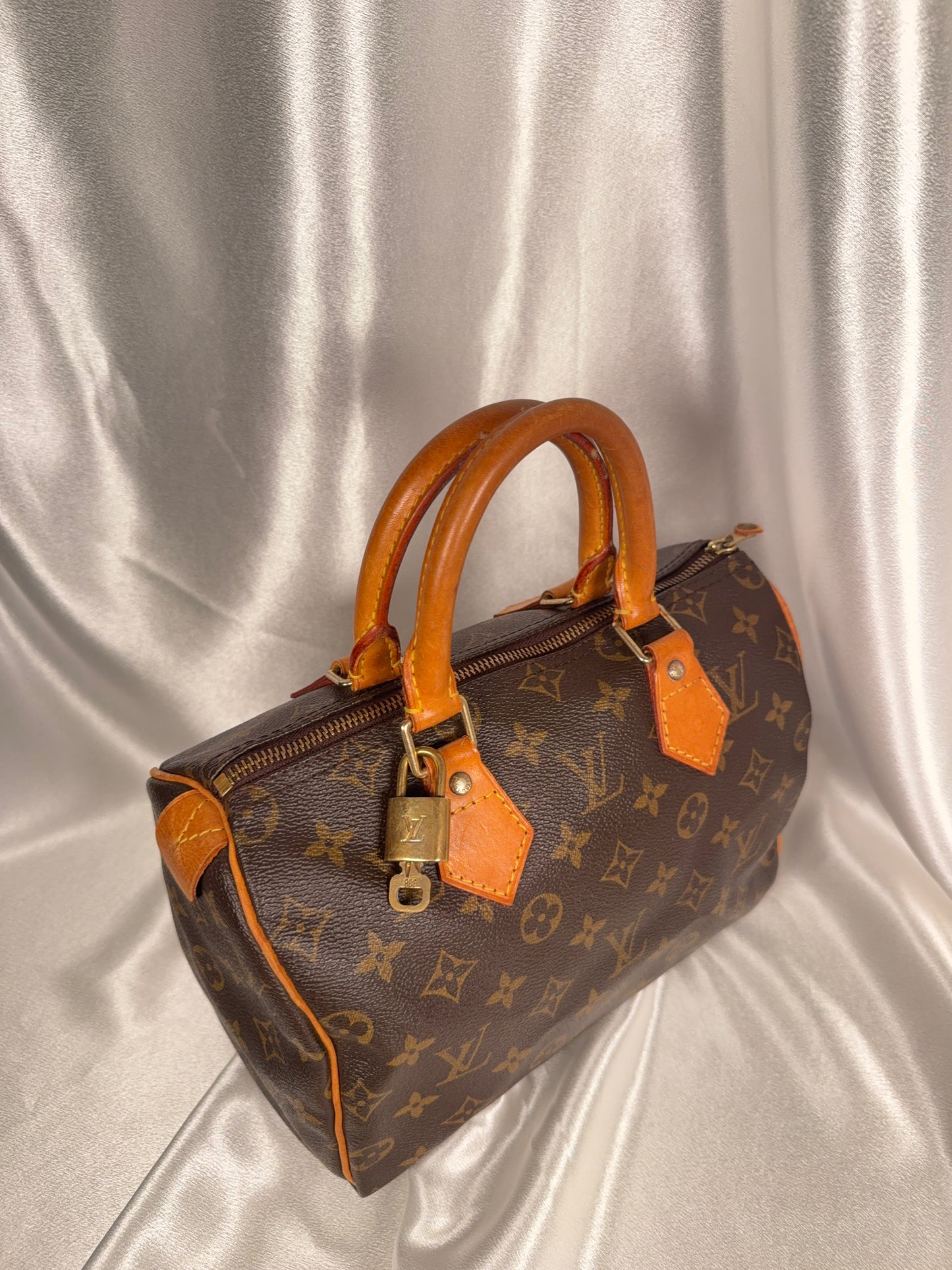 Louis Vuitton Speedy 25
