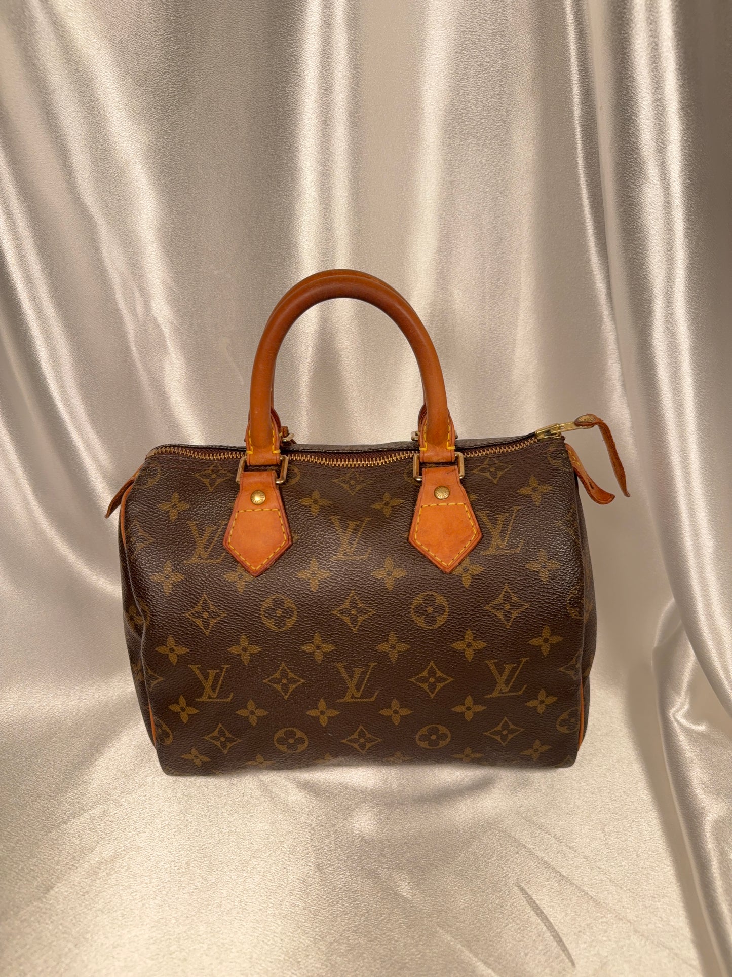 Louis Vuitton Speedy 25