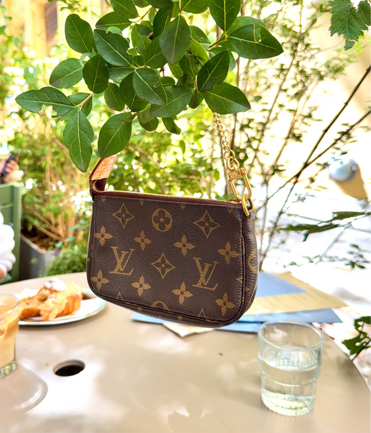Louis Vuitton Mini Pochette Accessories